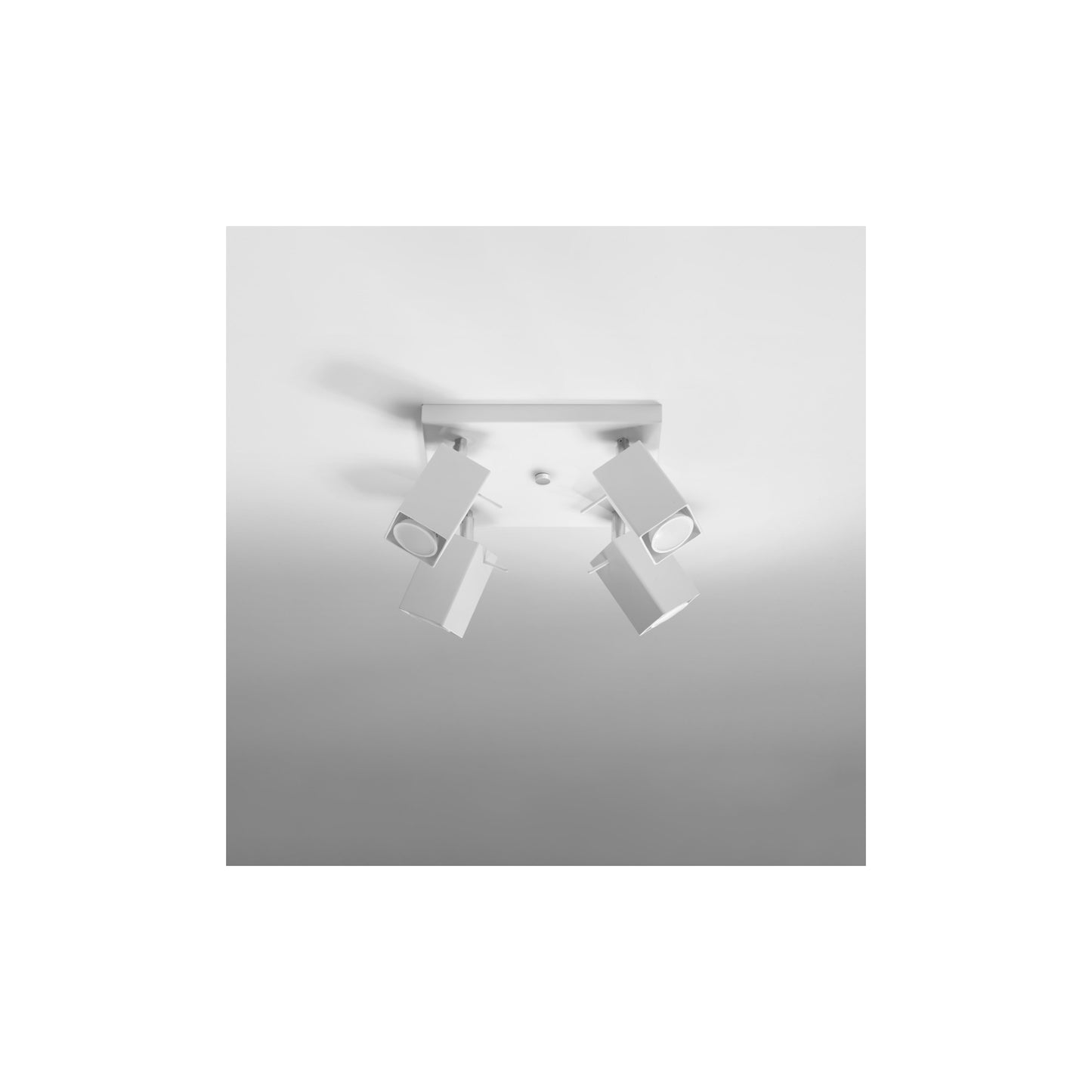 Merida 4 Ceiling Light