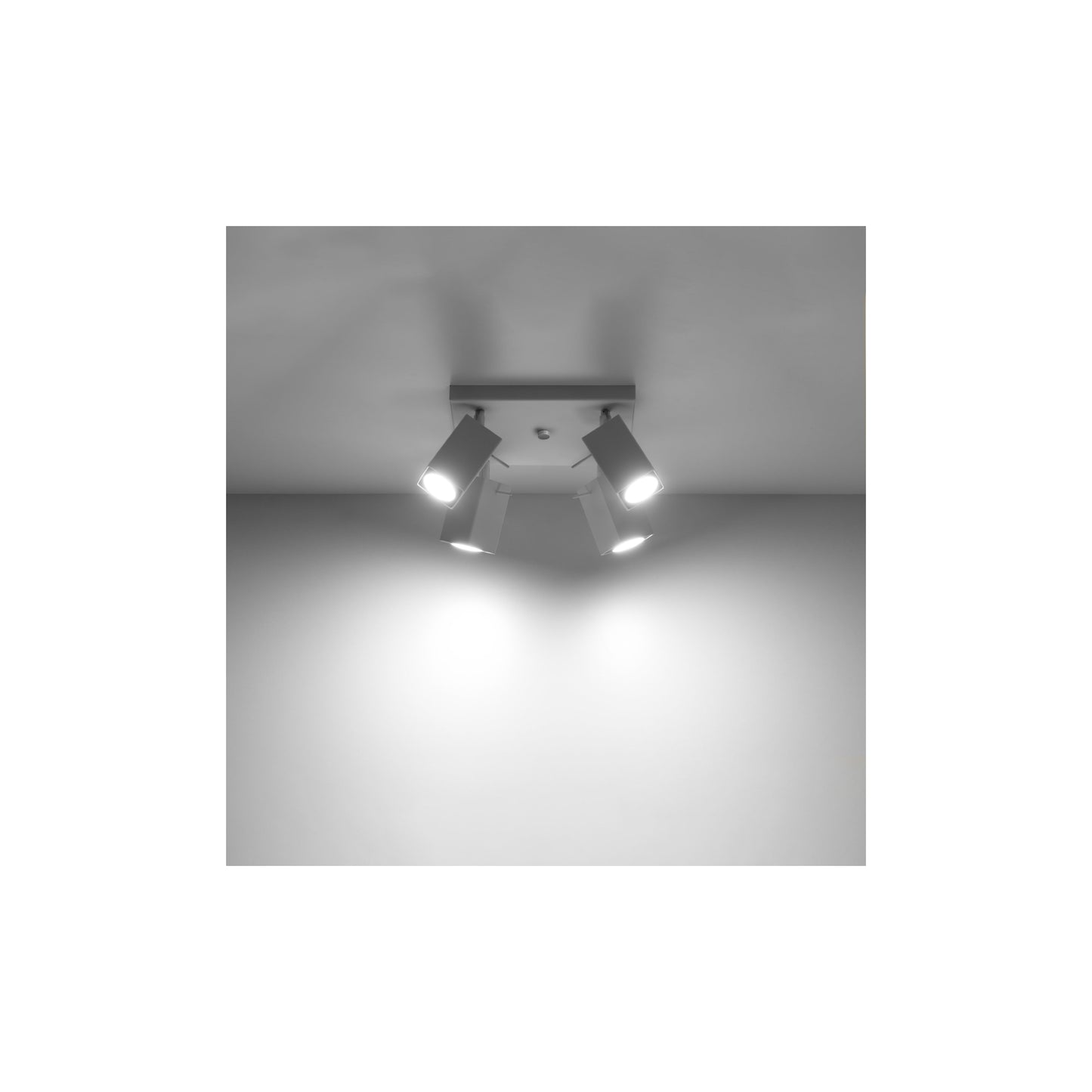 Merida 4 Ceiling Light