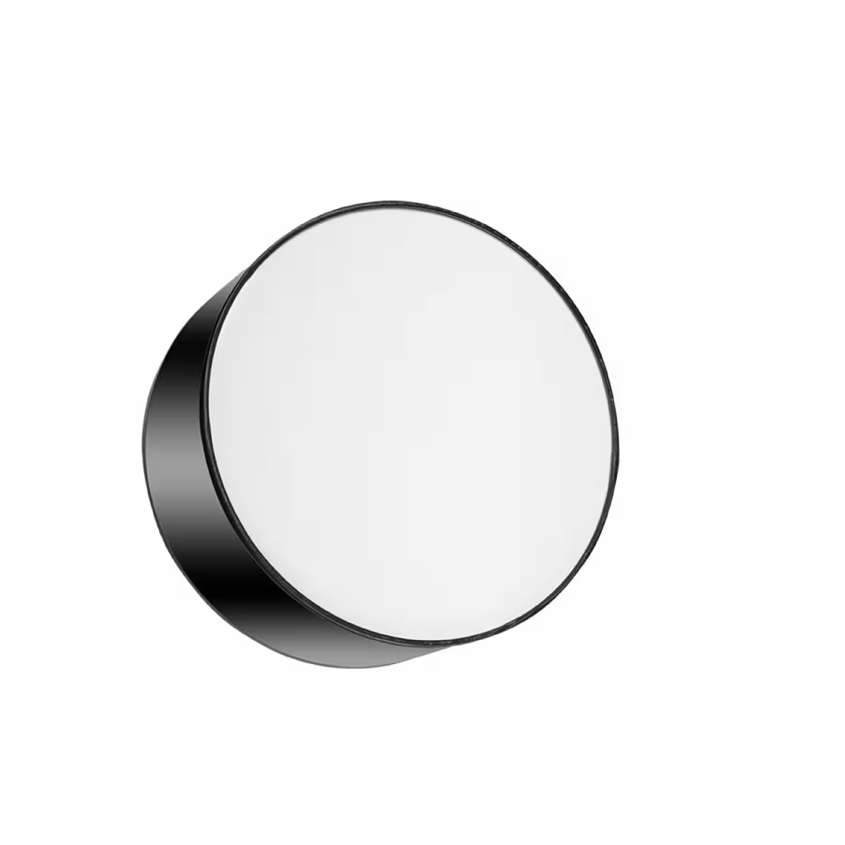Arena Ceiling Light