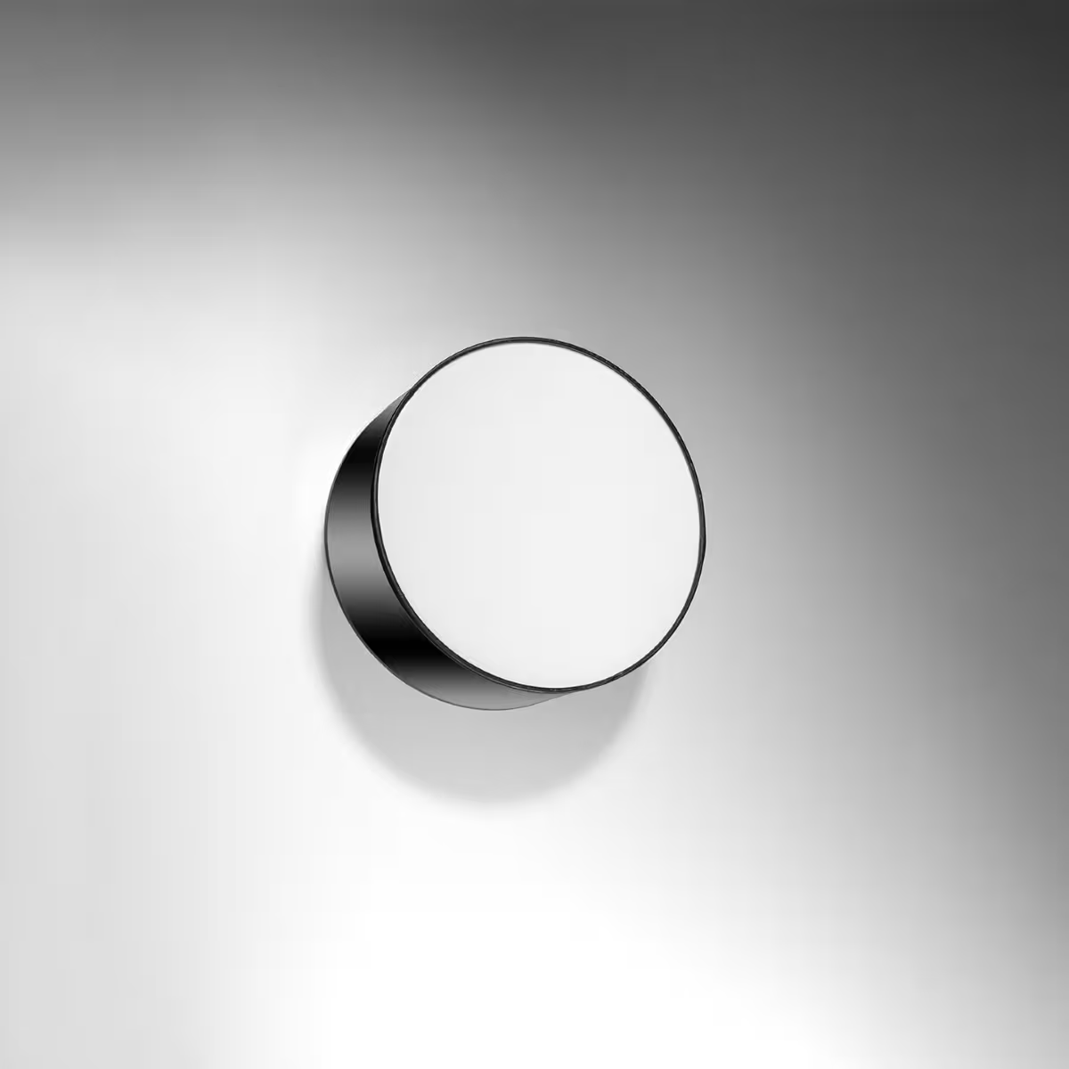 Arena Ceiling Light