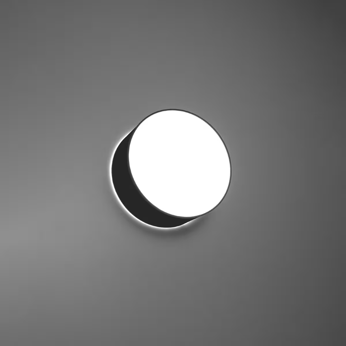 Arena Ceiling Light