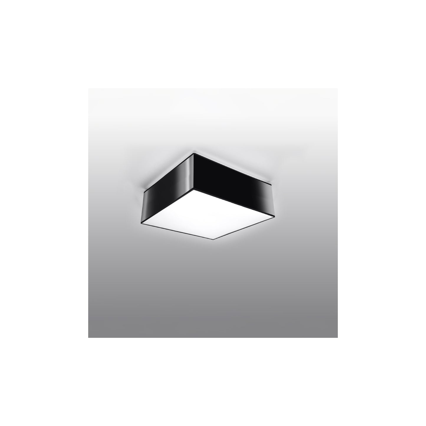 Horus Ceiling Light