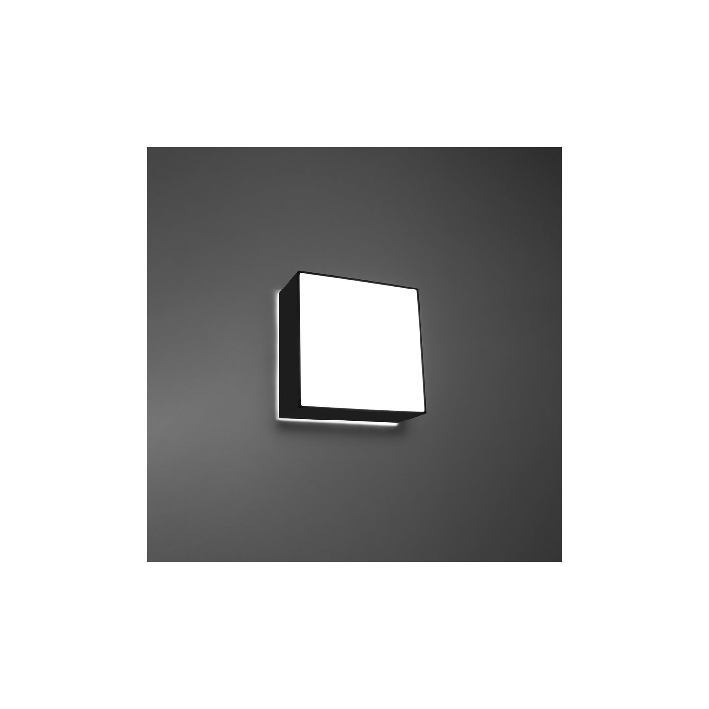 Horus Ceiling Light
