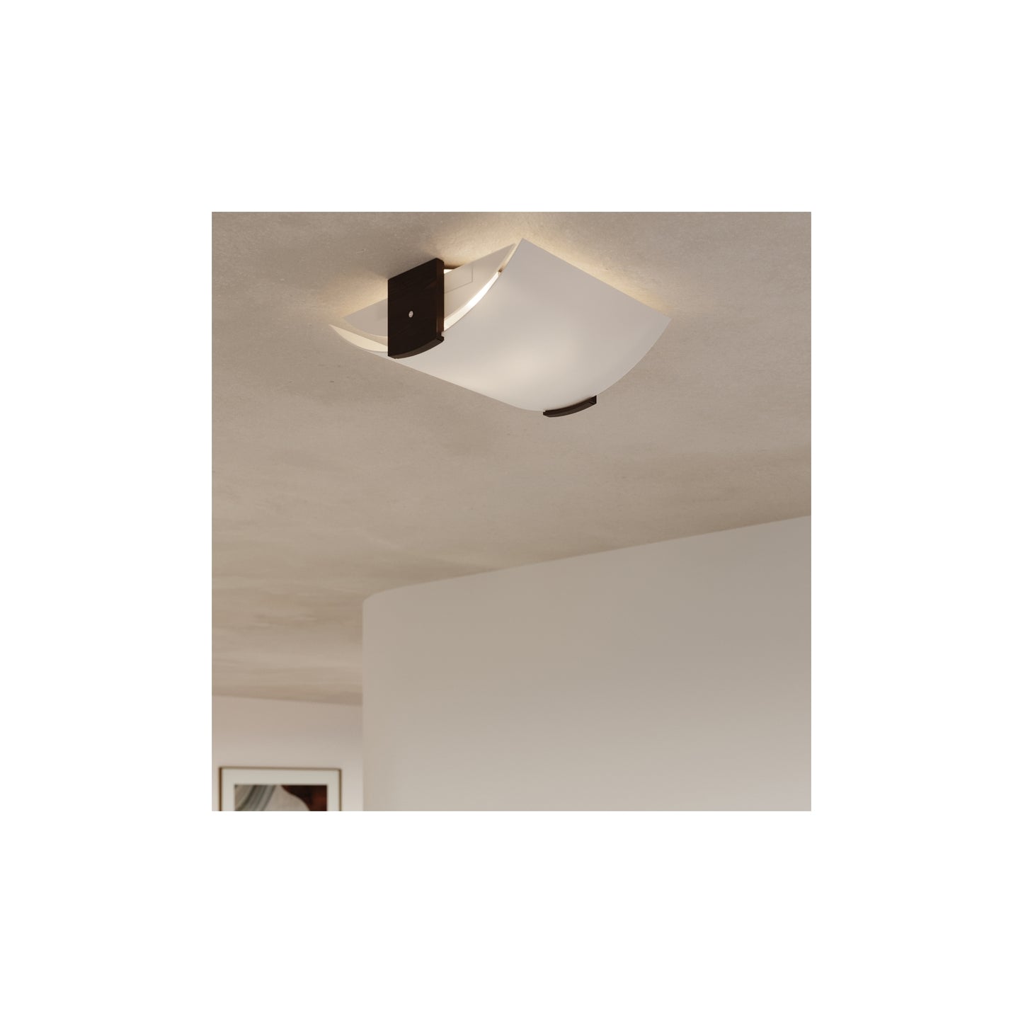 Emilio Wall Light in Wenge
