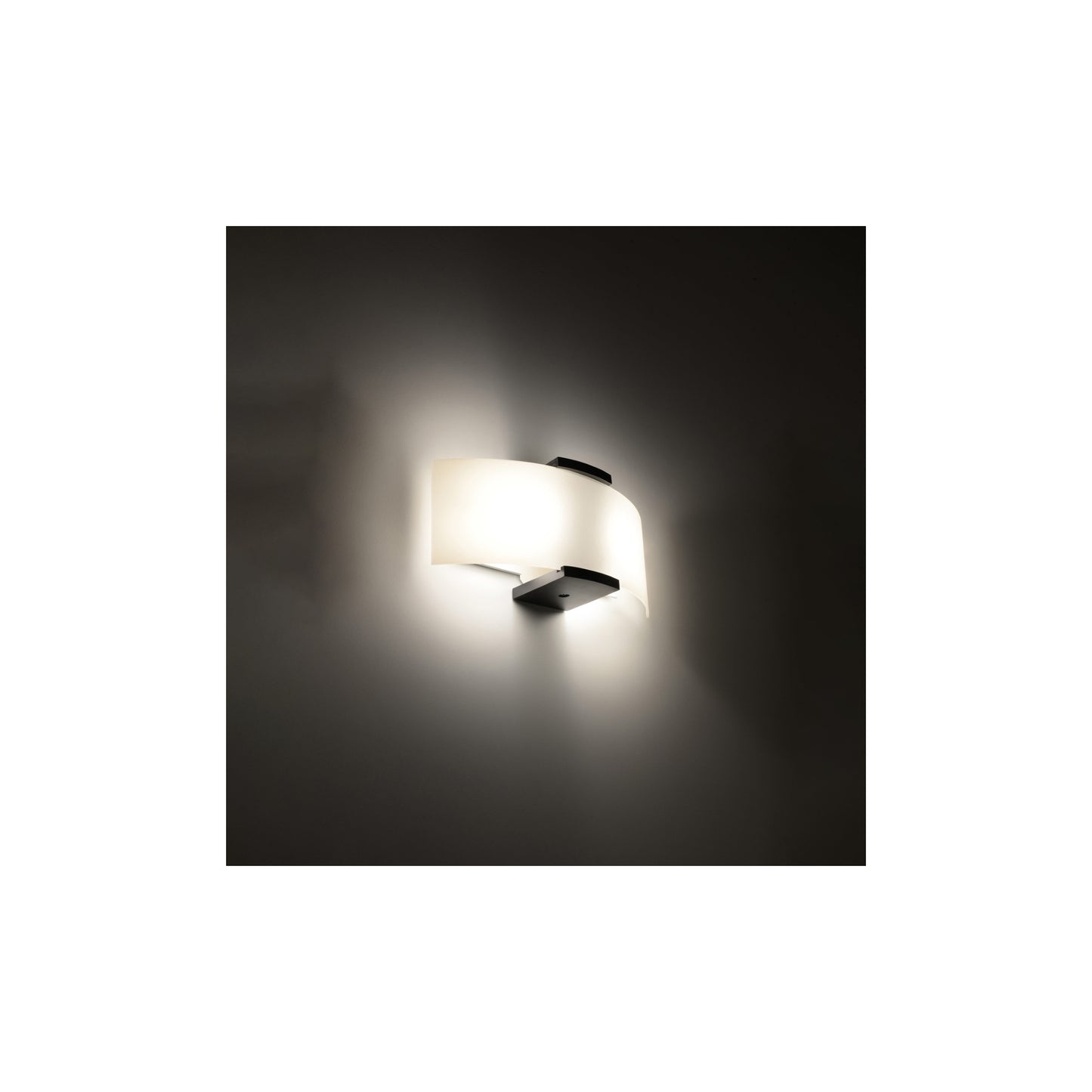 Emilio Wall Light in Wenge