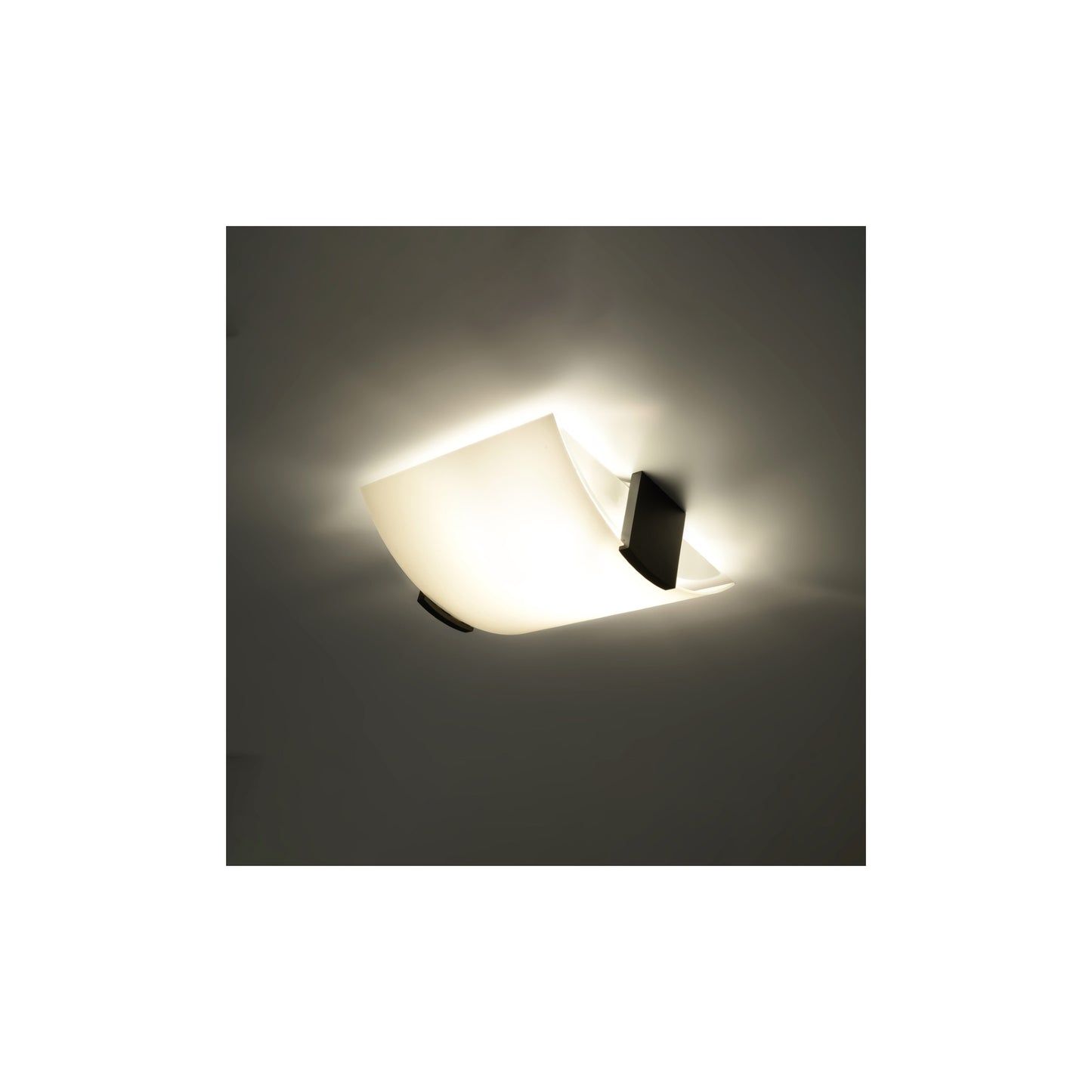 Emilio Ceiling Light in Wenge