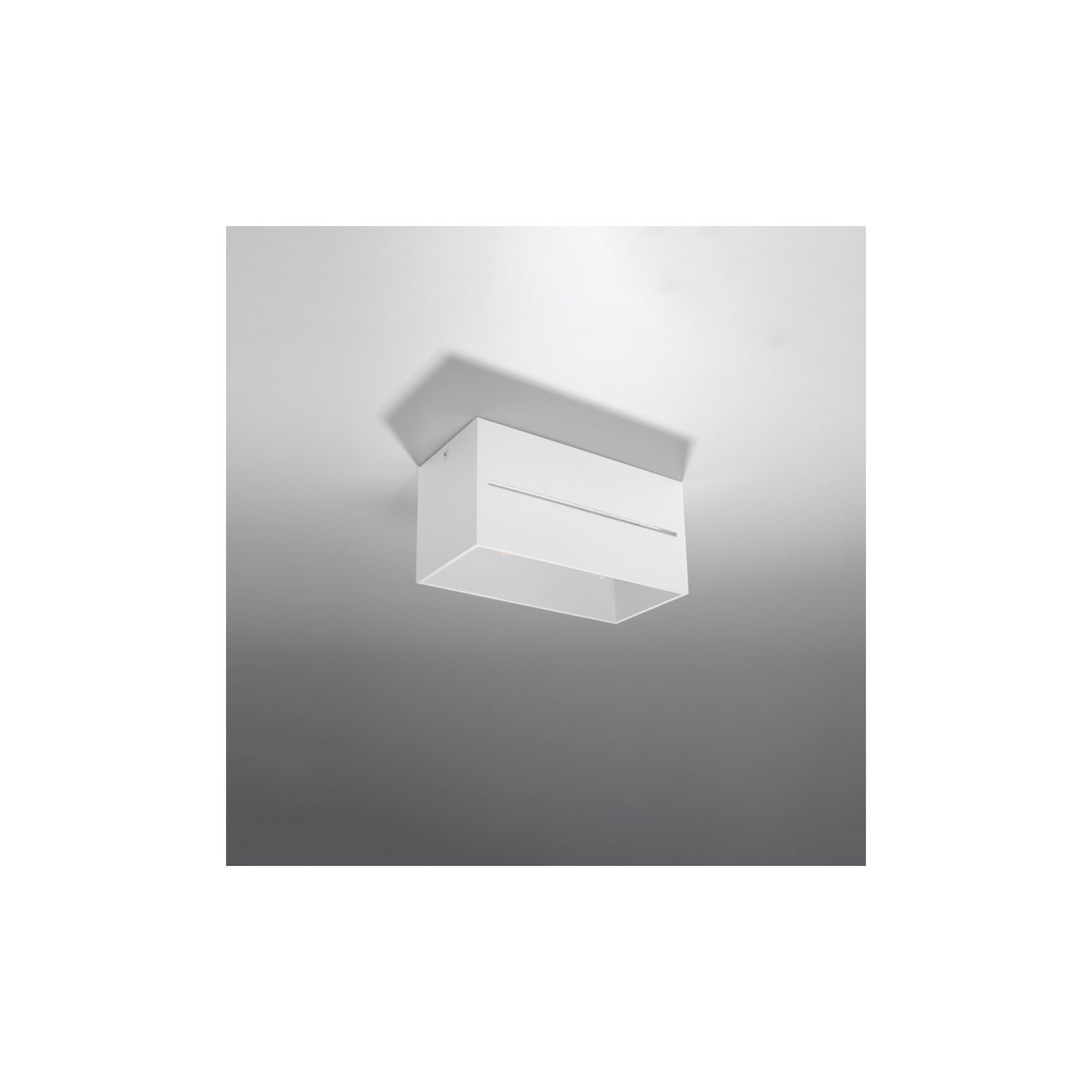 Lobo 2 Ceiling Light