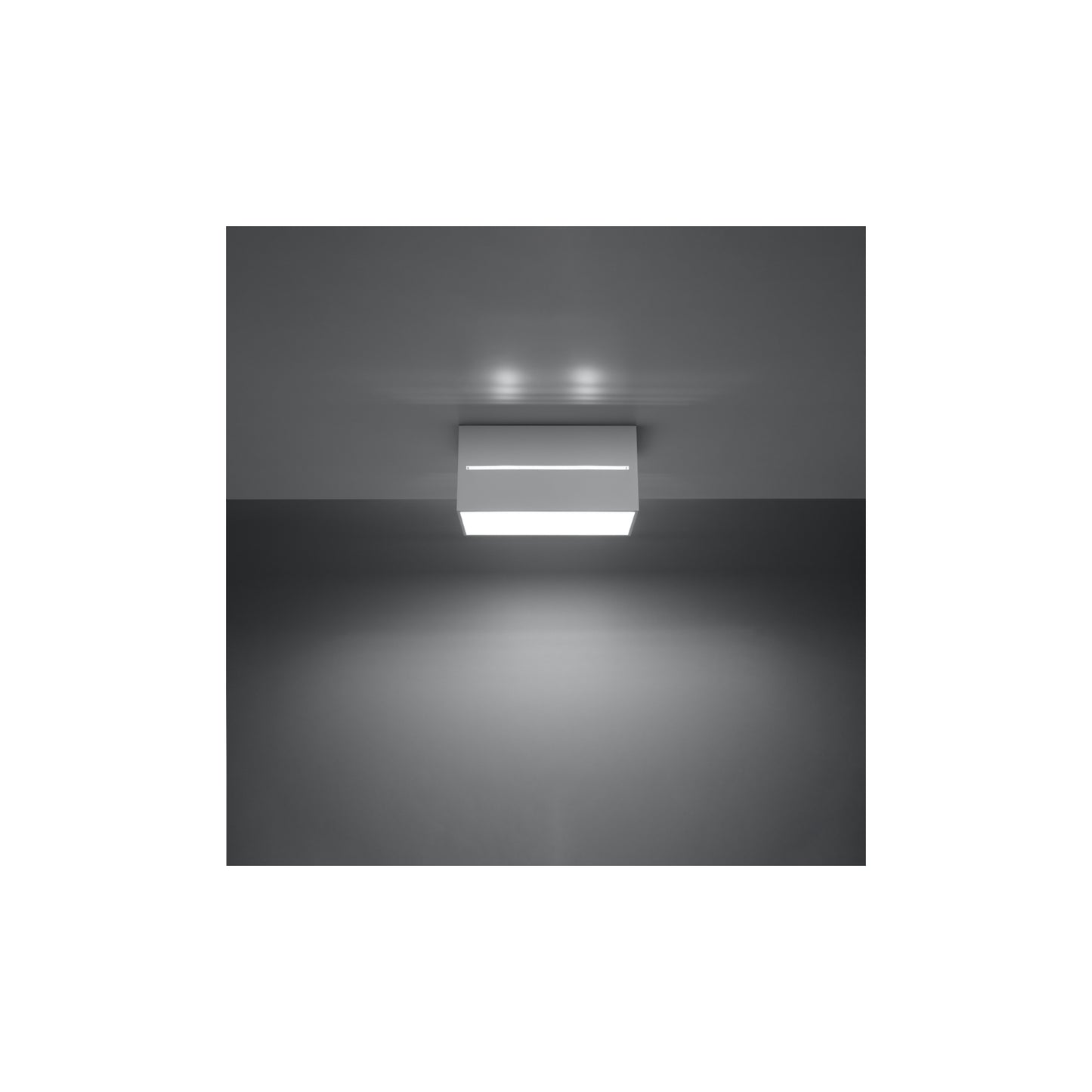 Lobo 2 Ceiling Light