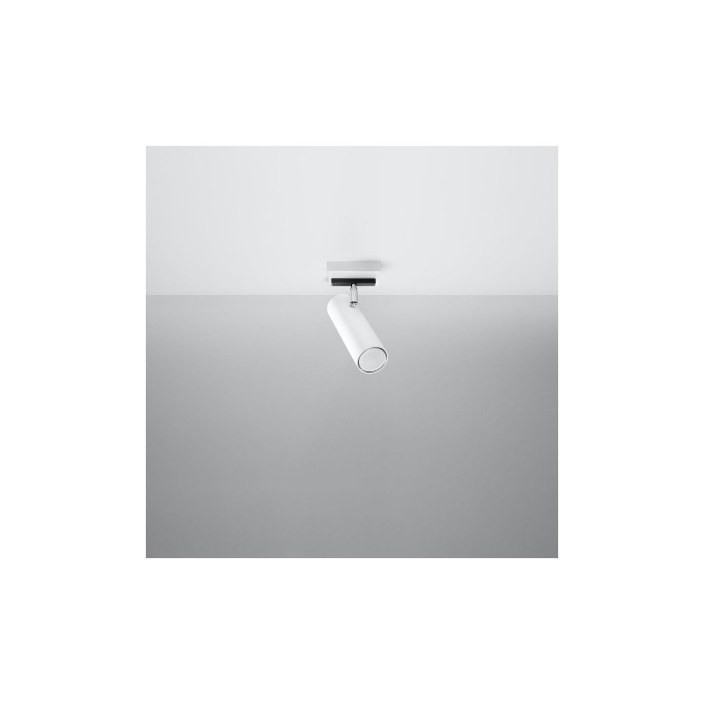 Direzione 1 Ceiling Light
