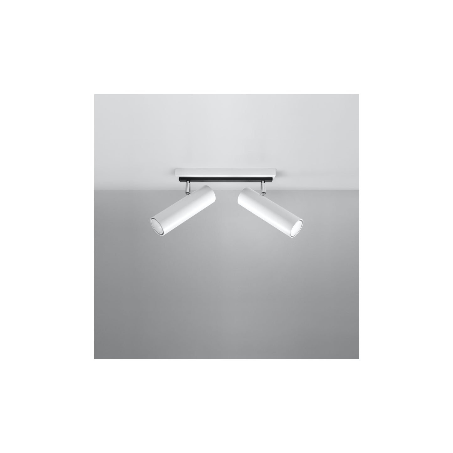 Direzione 2 Ceiling Light