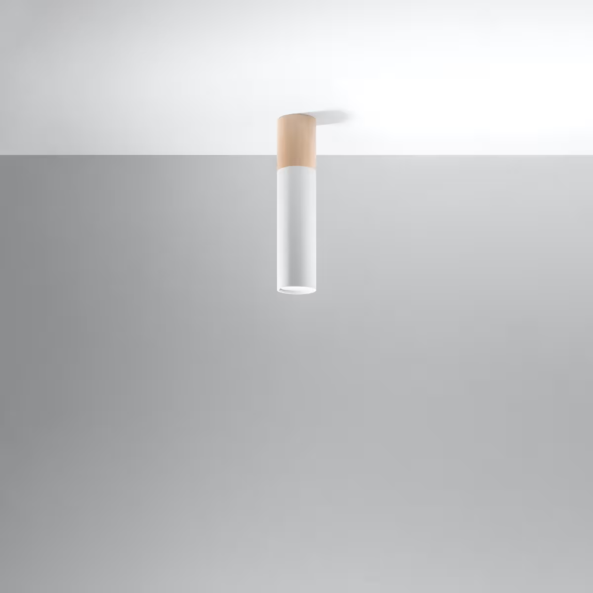 Pablo Ceiling Light