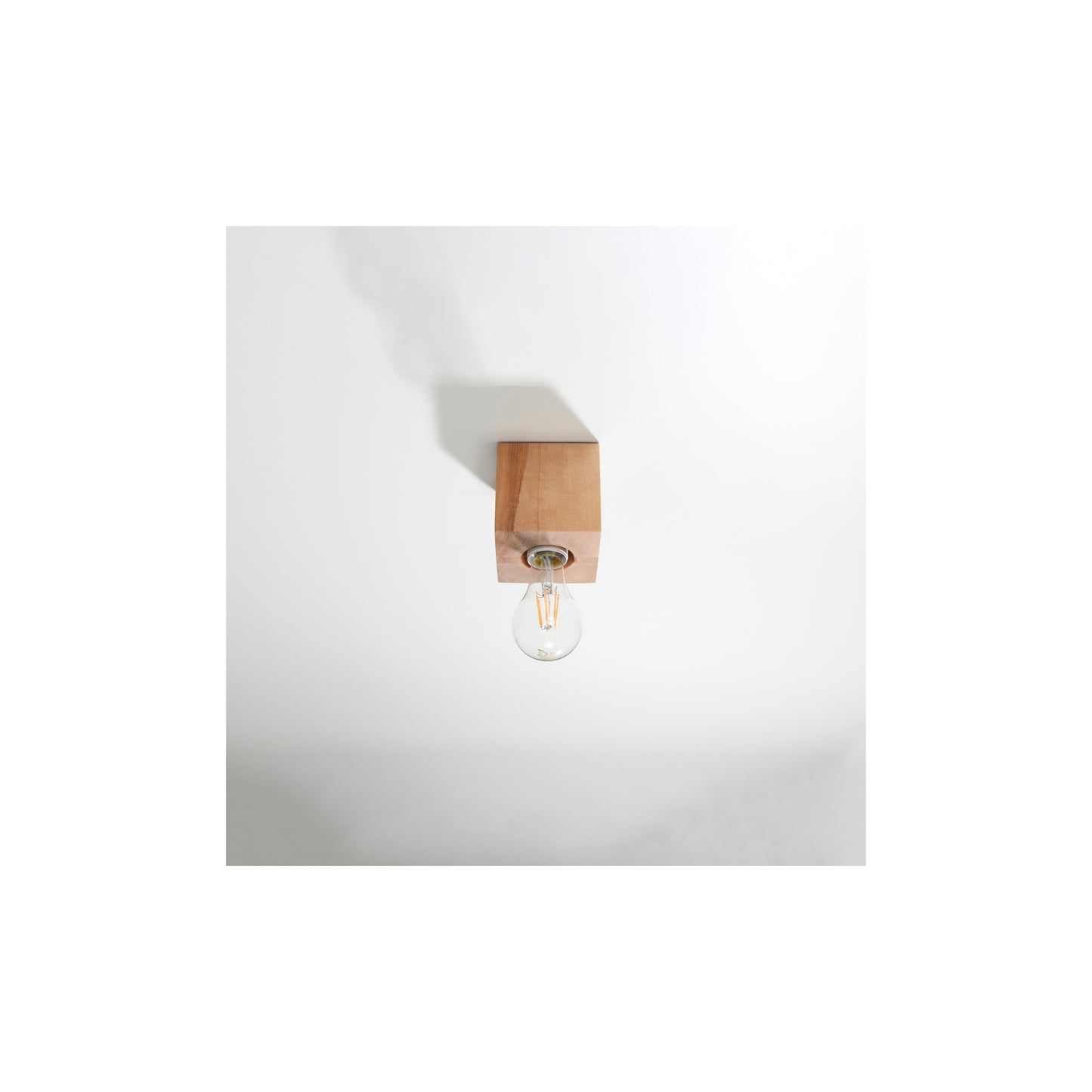 Ariz Ceiling Light