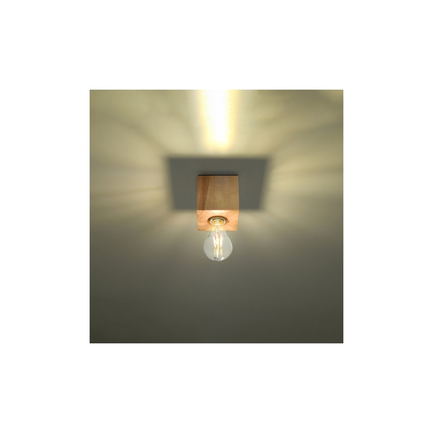 Ariz Ceiling Light