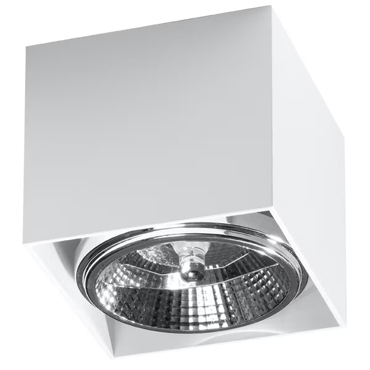 Blake Ceiling Light