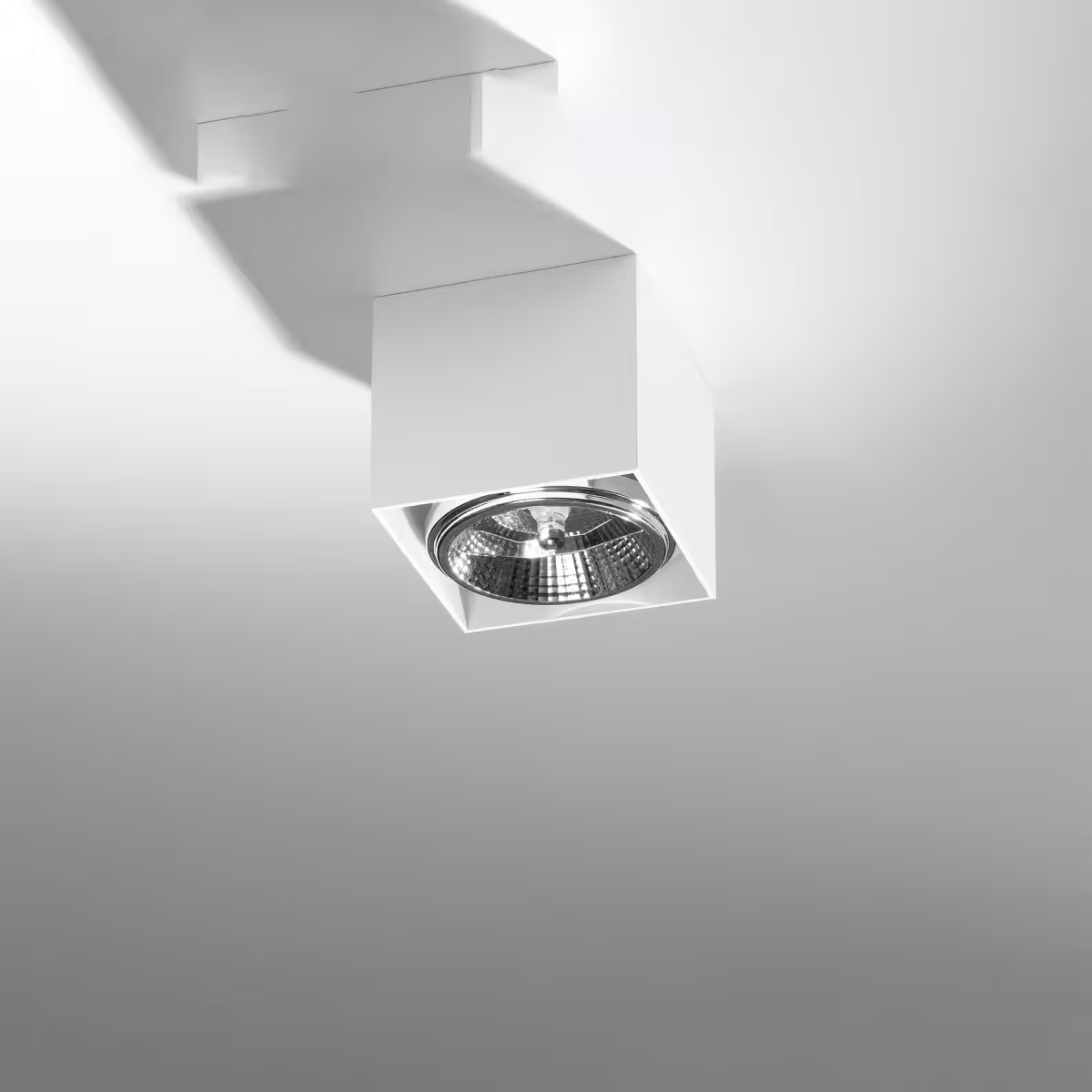 Blake Ceiling Light