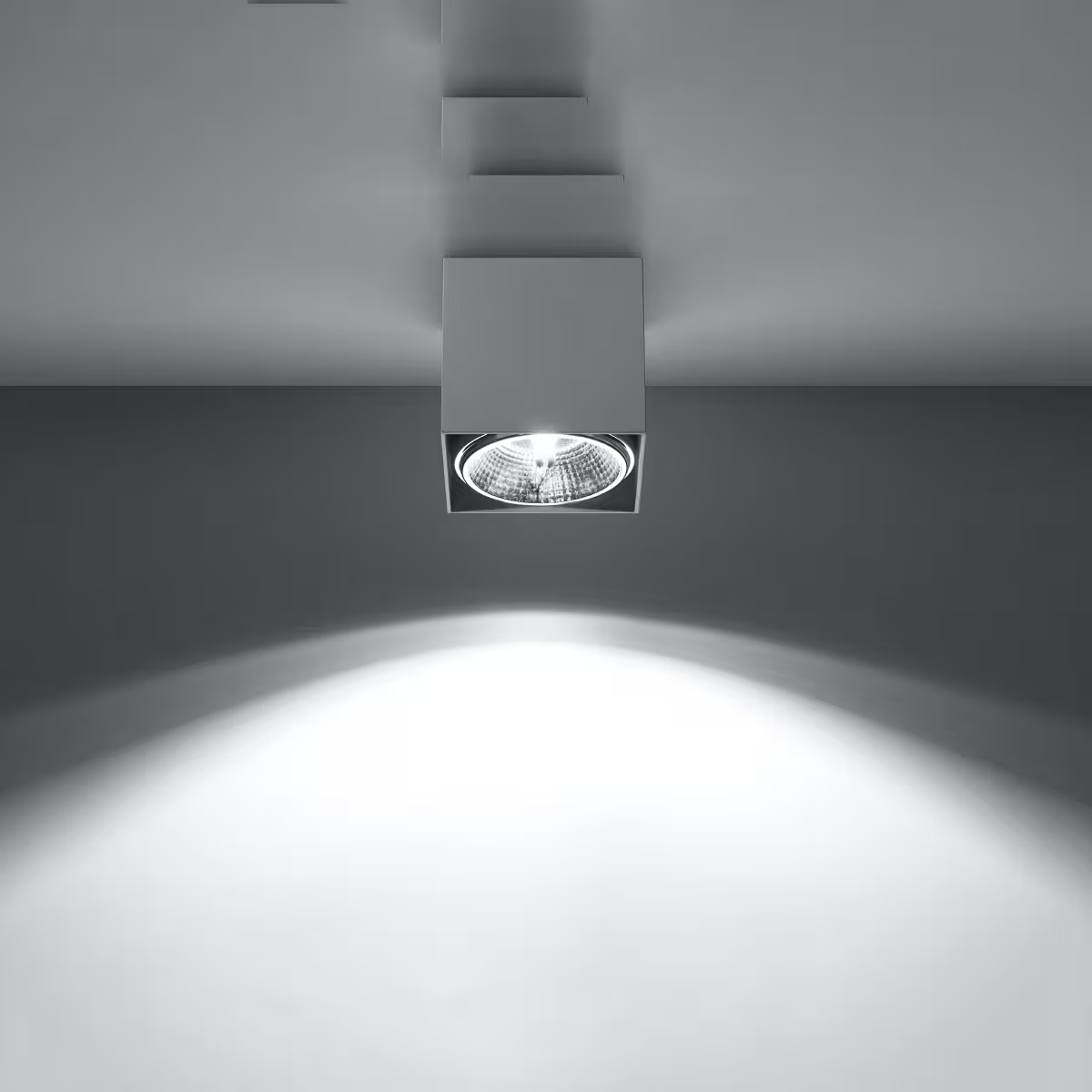 Blake Ceiling Light