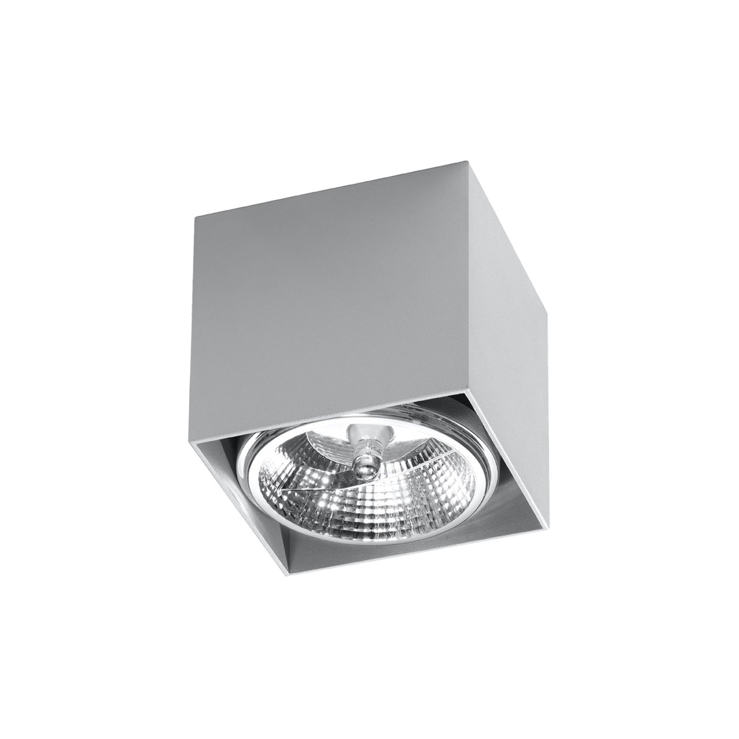 Blake Ceiling Light