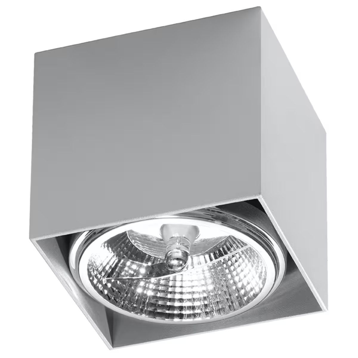 Blake Ceiling Light