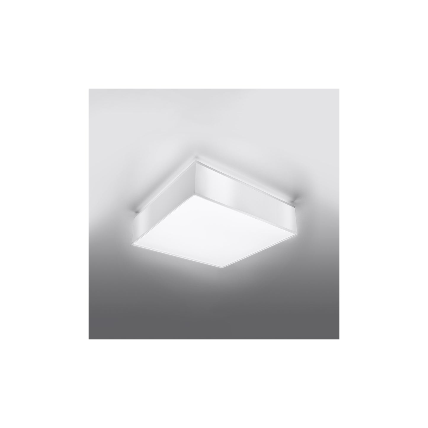 Horus 55 Ceiling Light