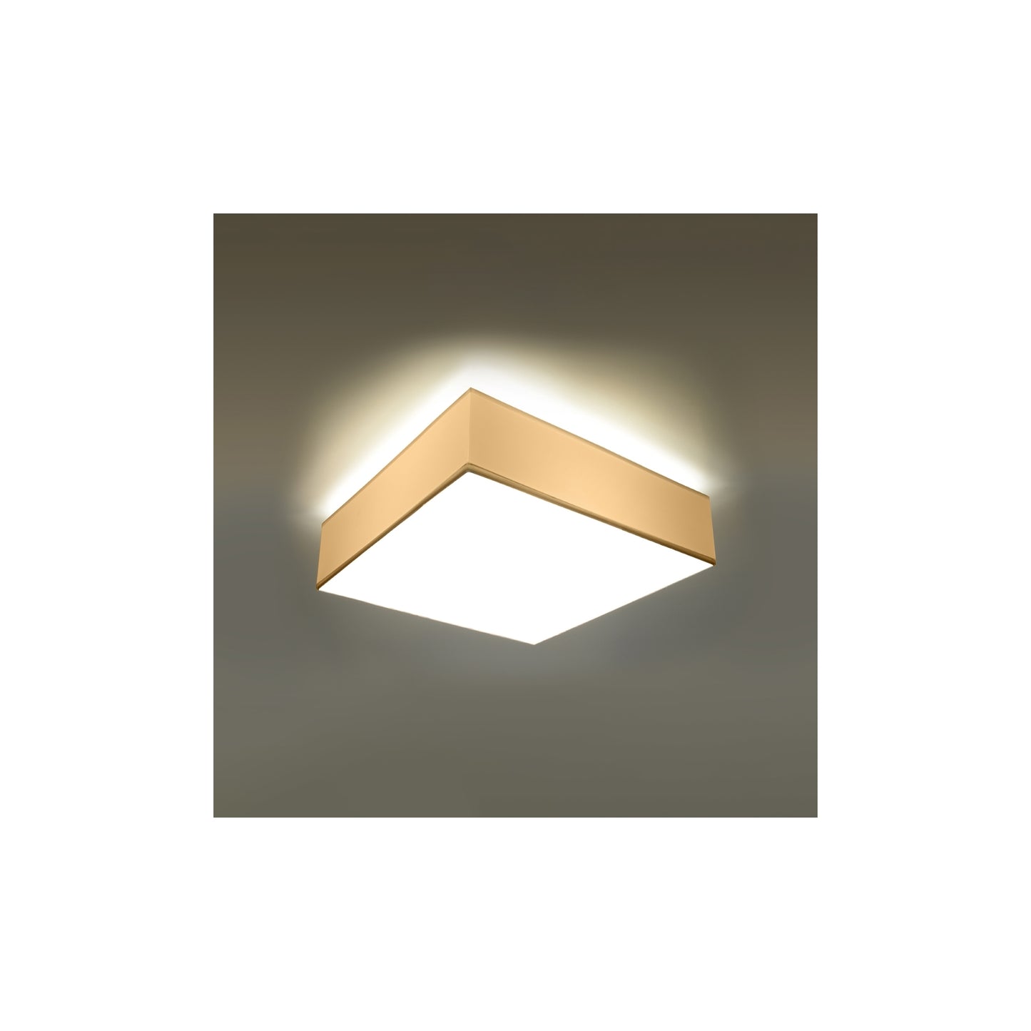 Horus 55 Ceiling Light