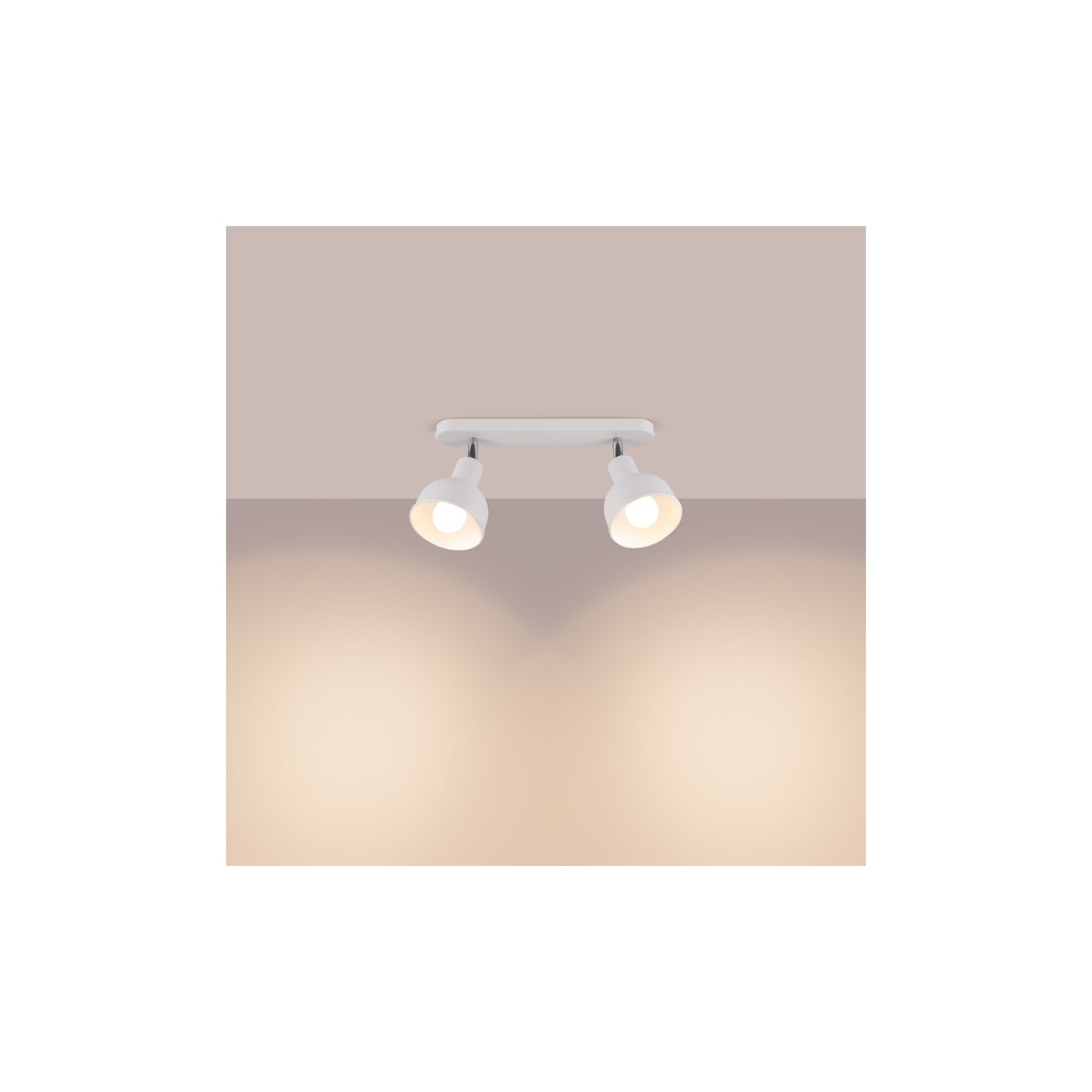 Elba 2 Ceiling Light