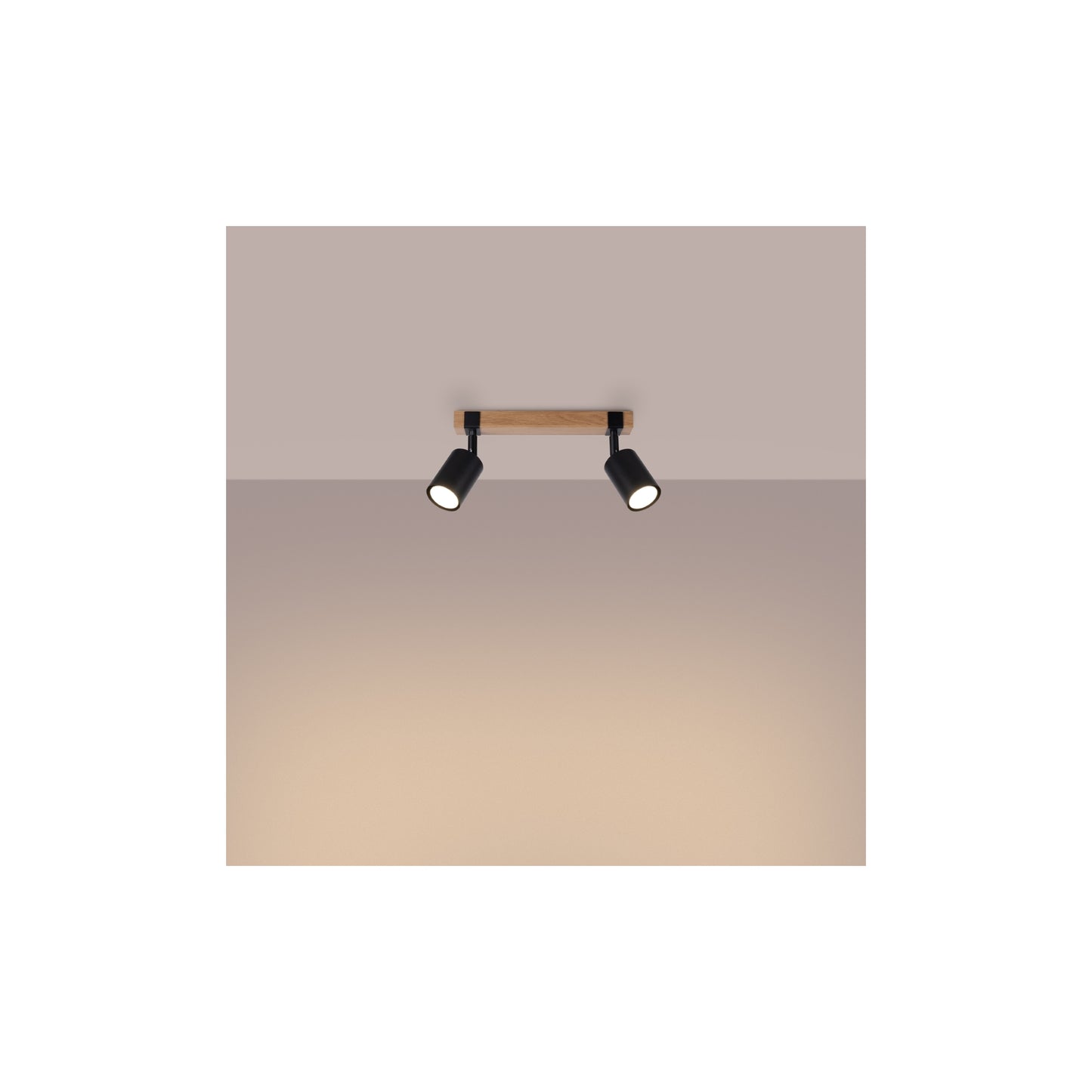 Fager 2 Ceiling Light in Black