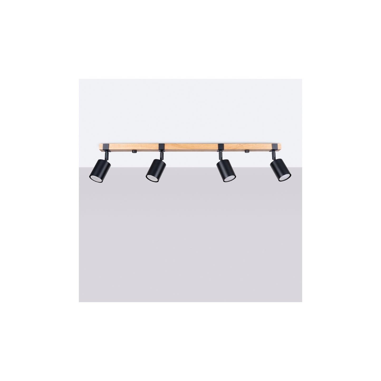 Fager 4L Ceiling Light in Black