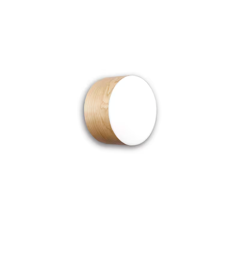 Gea Small Wall & Ceiling Light