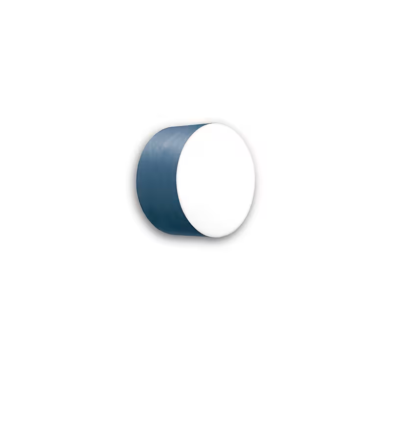 Gea Small Wall & Ceiling Light