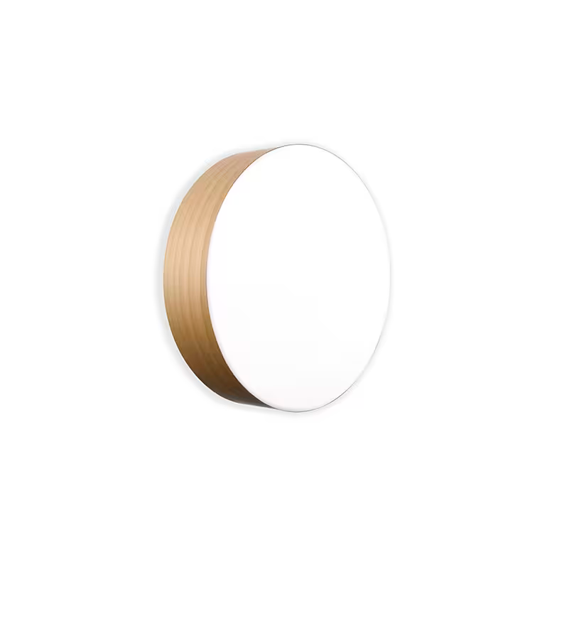 Gea Large Wall & Ceiling Light