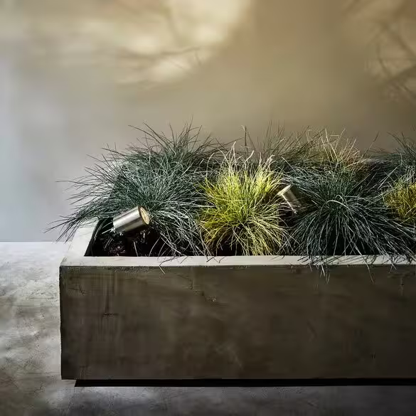 Skye Ground Spike Spotlight