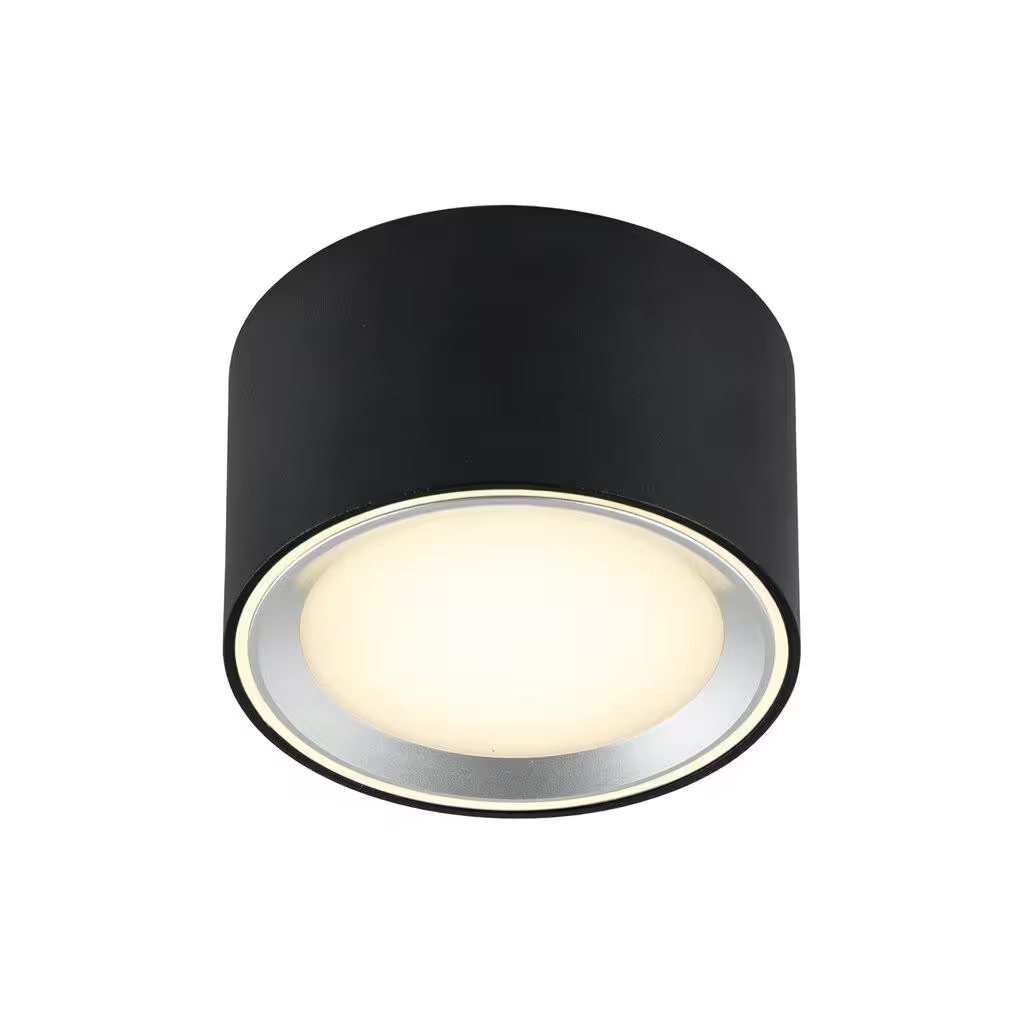 Fallon LED Ceiling Light