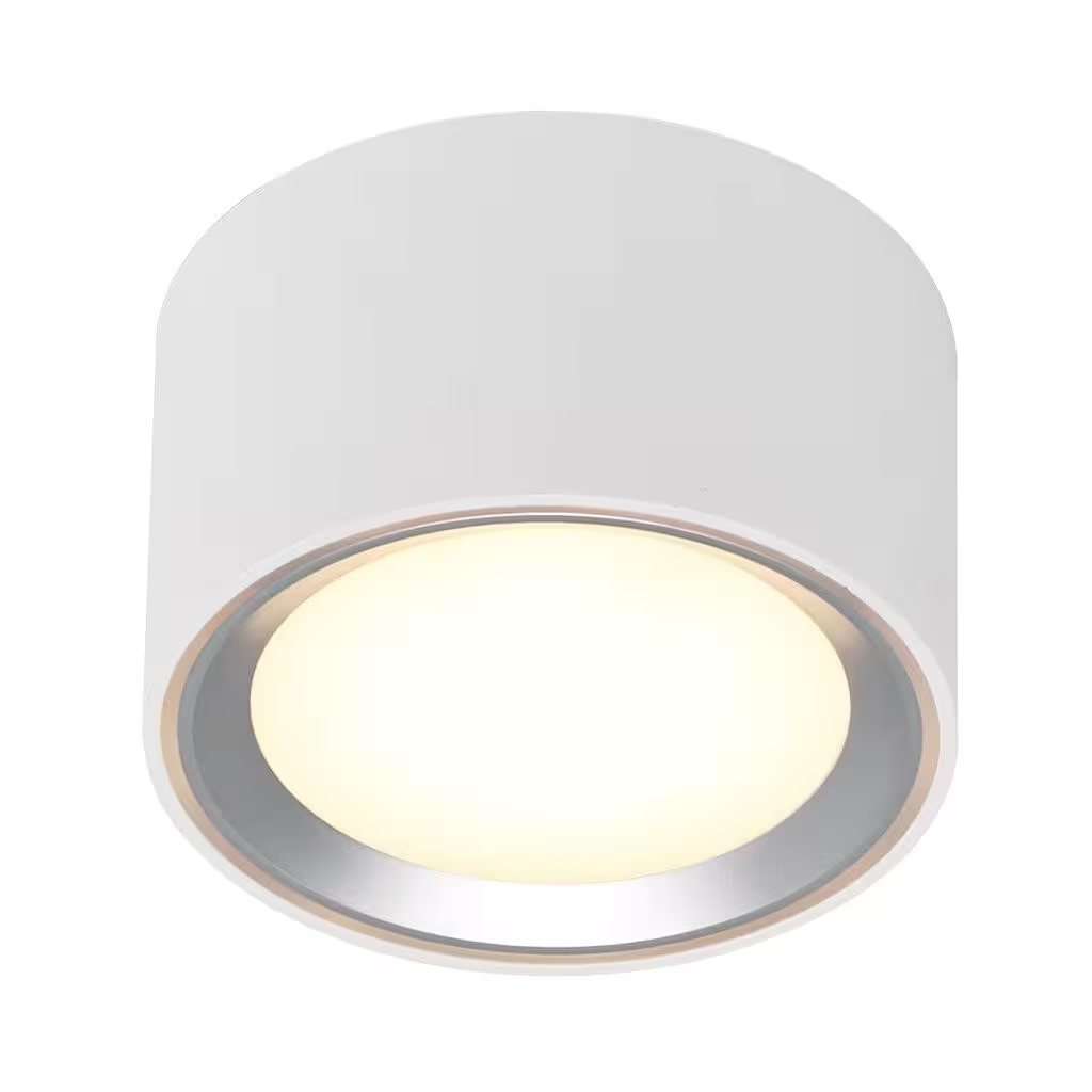 Fallon LED Ceiling Light
