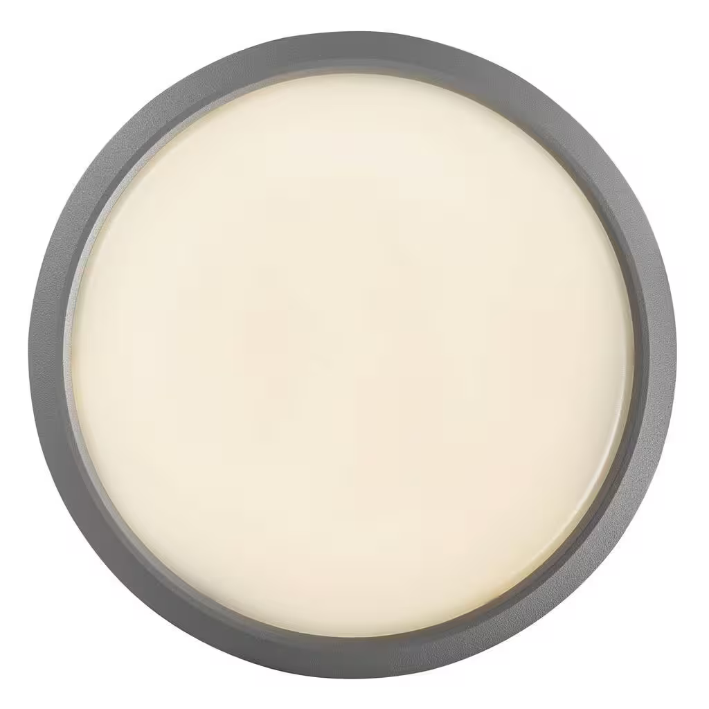 Ava Outdoor LED Wall/Ceiling Light