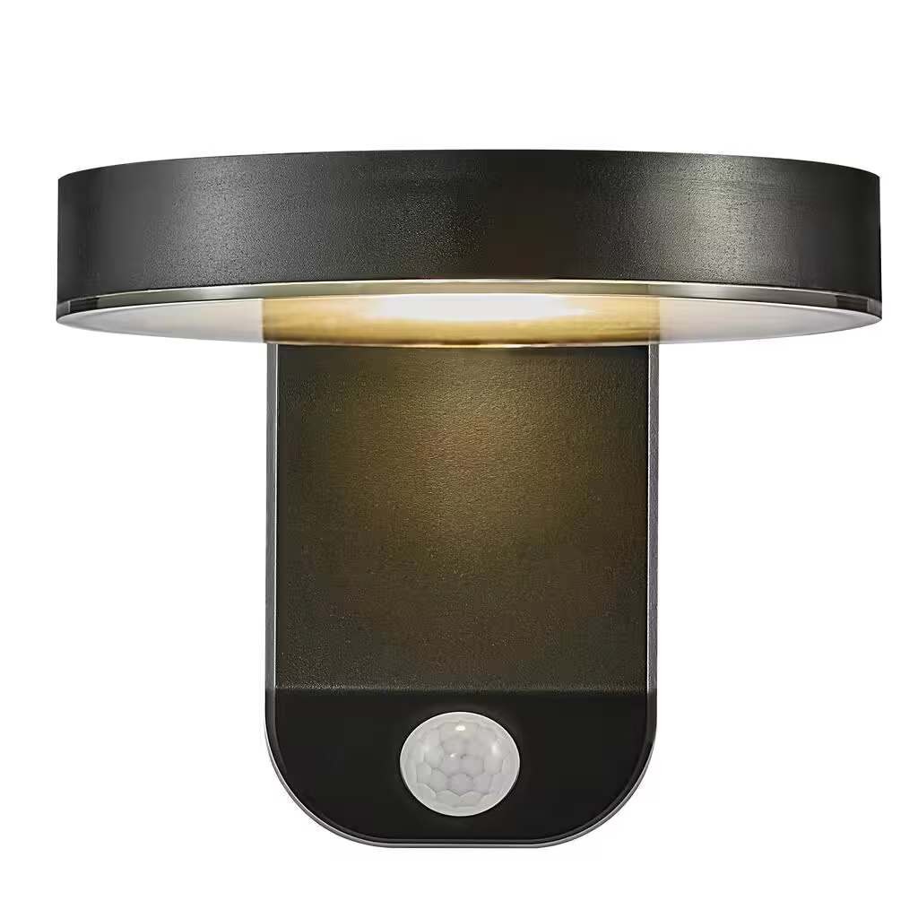 Rica Outdoor Round LED Wall Light Black