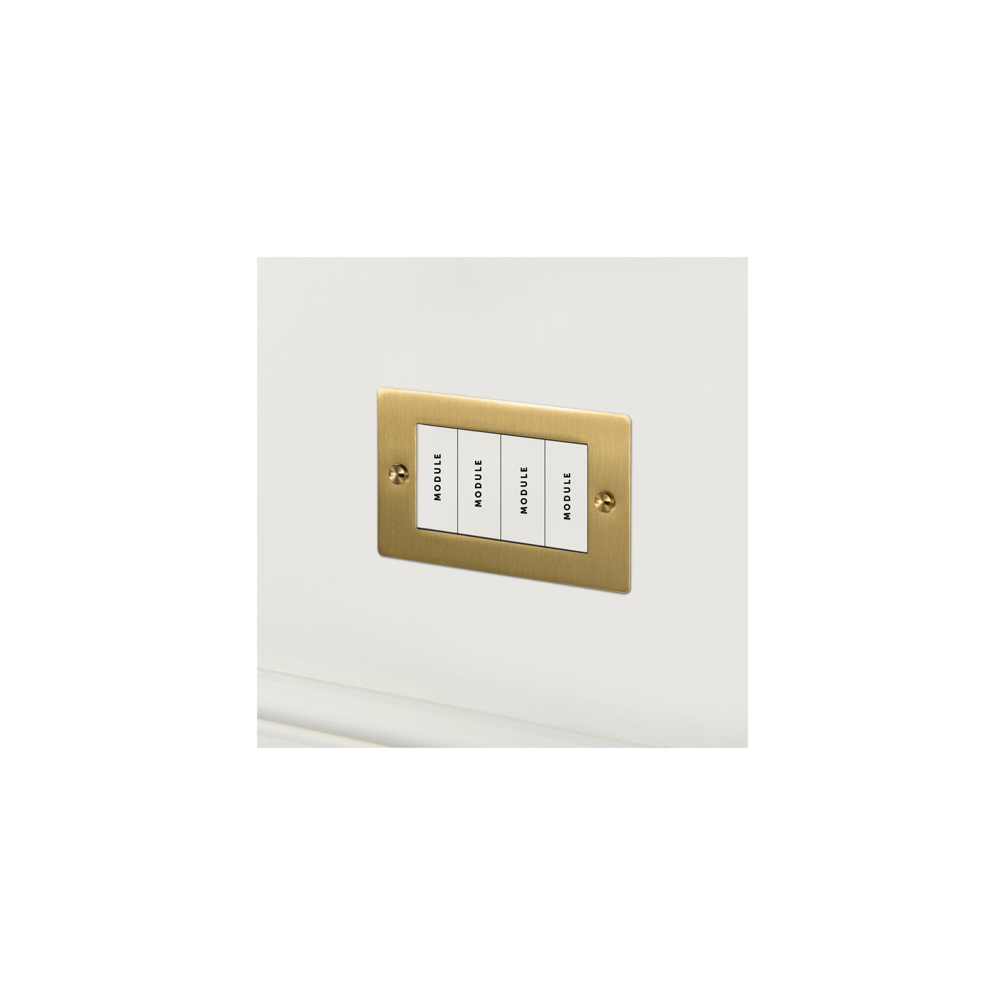 2G Euro Plate 4 Module