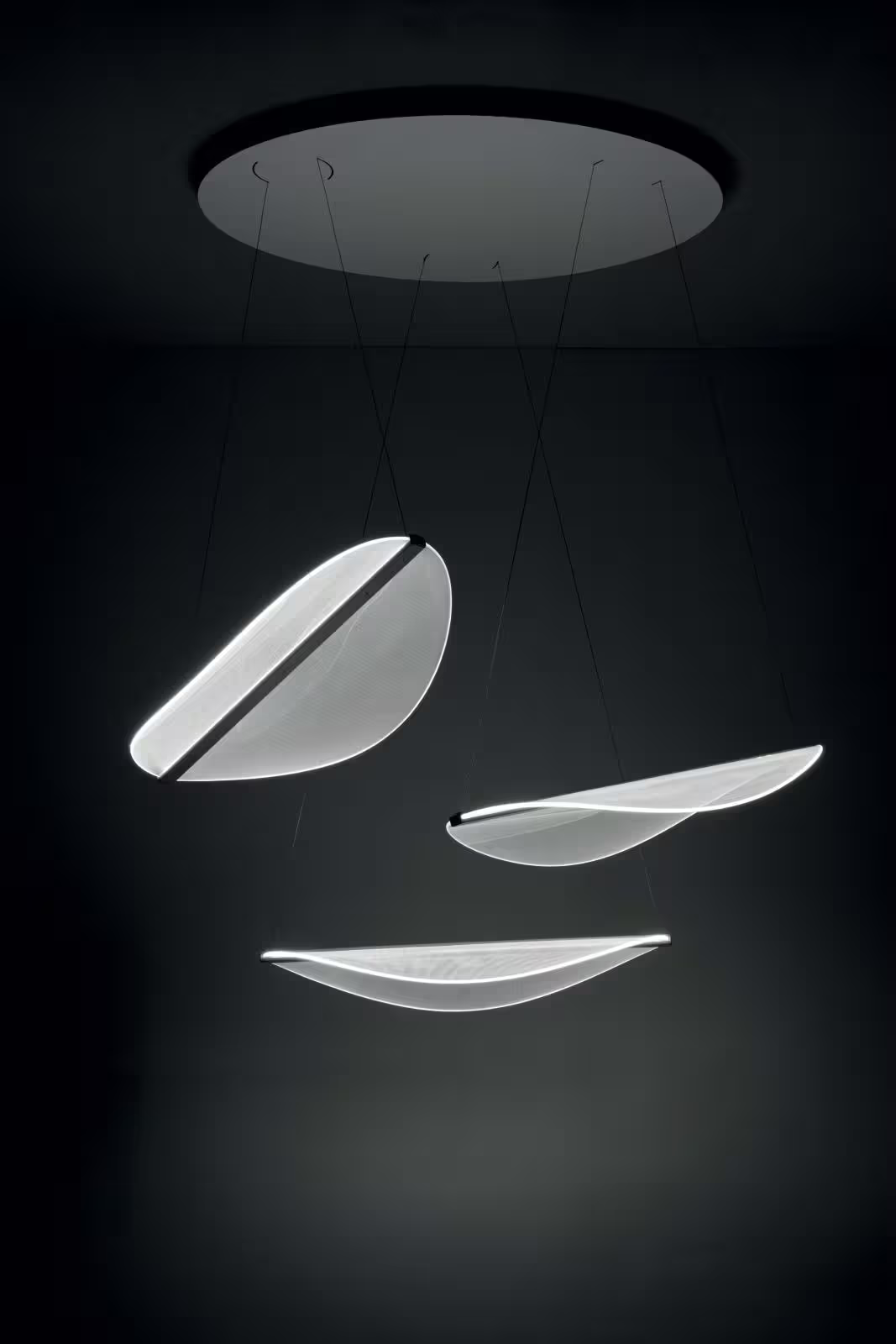 Diphy 3 Pendant