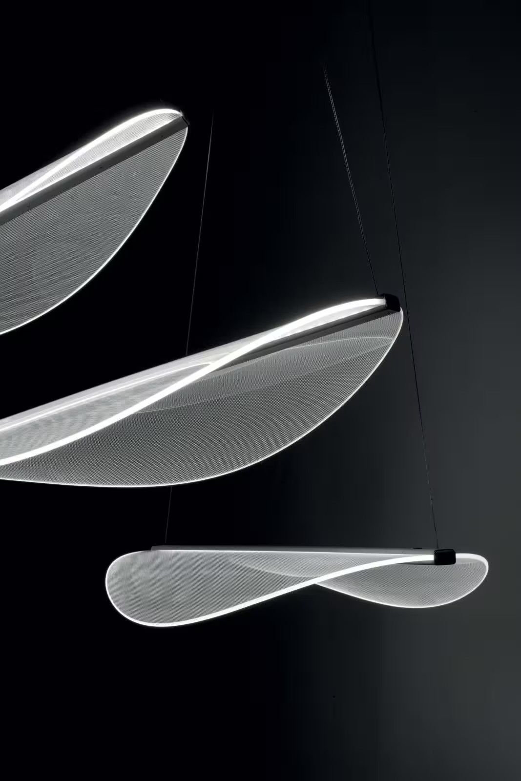 Diphy 3 Pendant