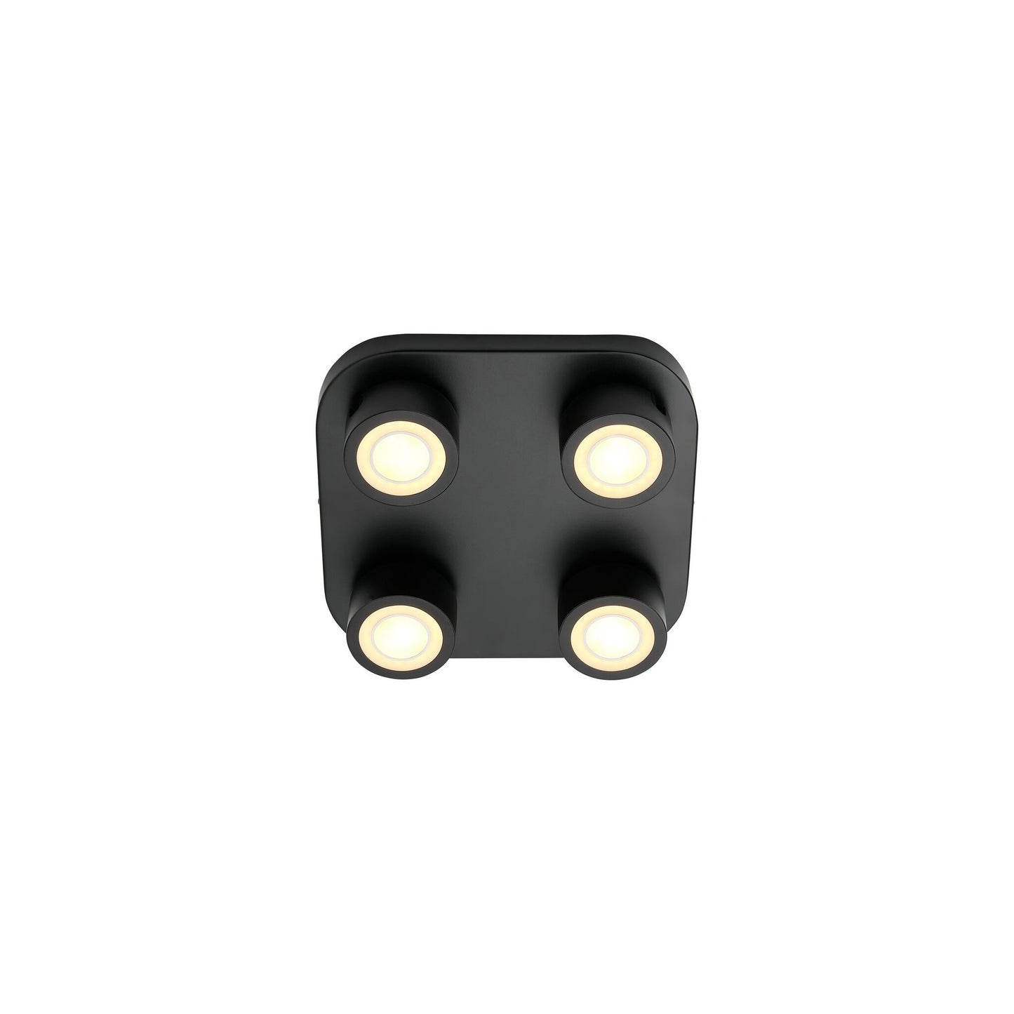 Clyde 4-Spot Ceiling Light in Black