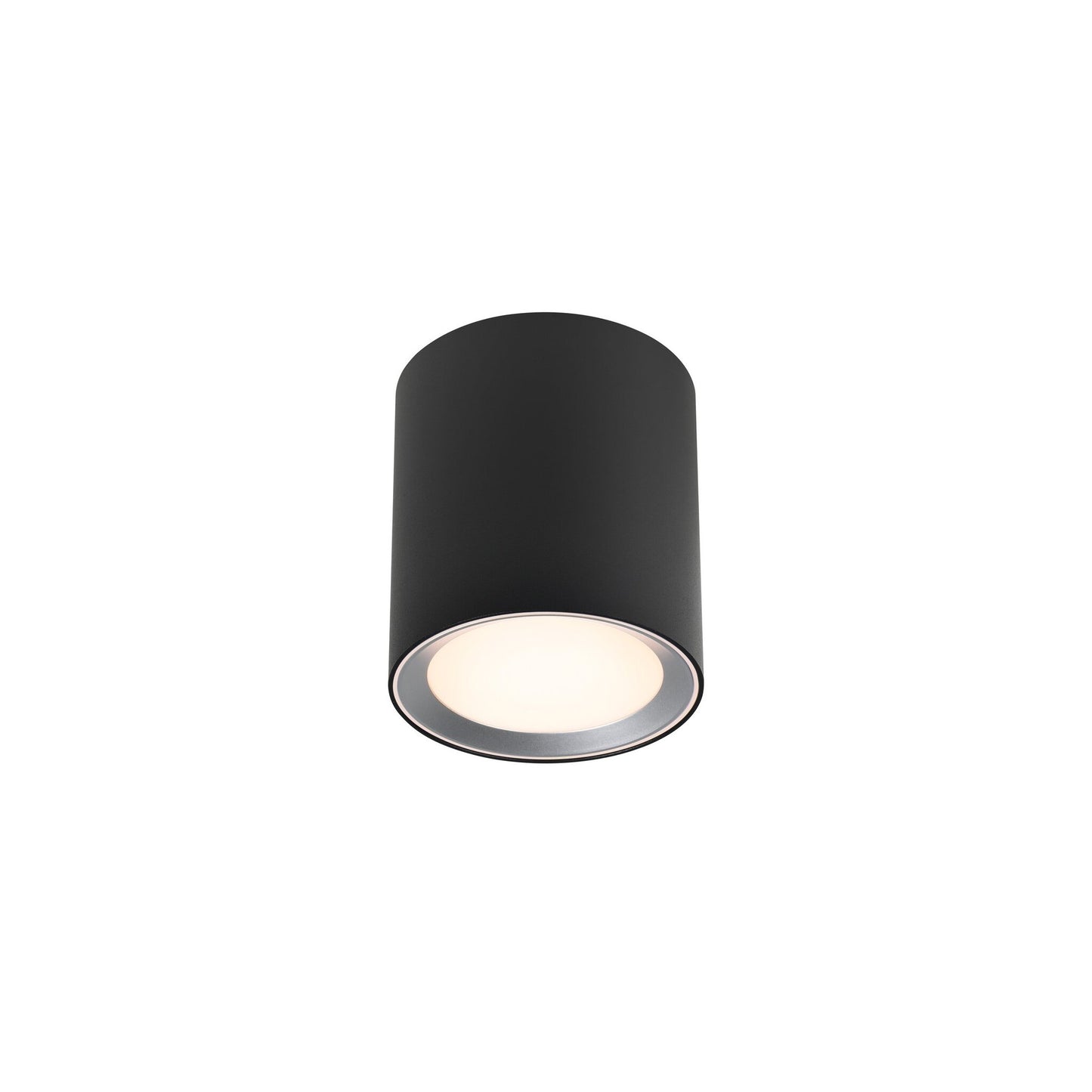Landon Bathroom Surface Downlight