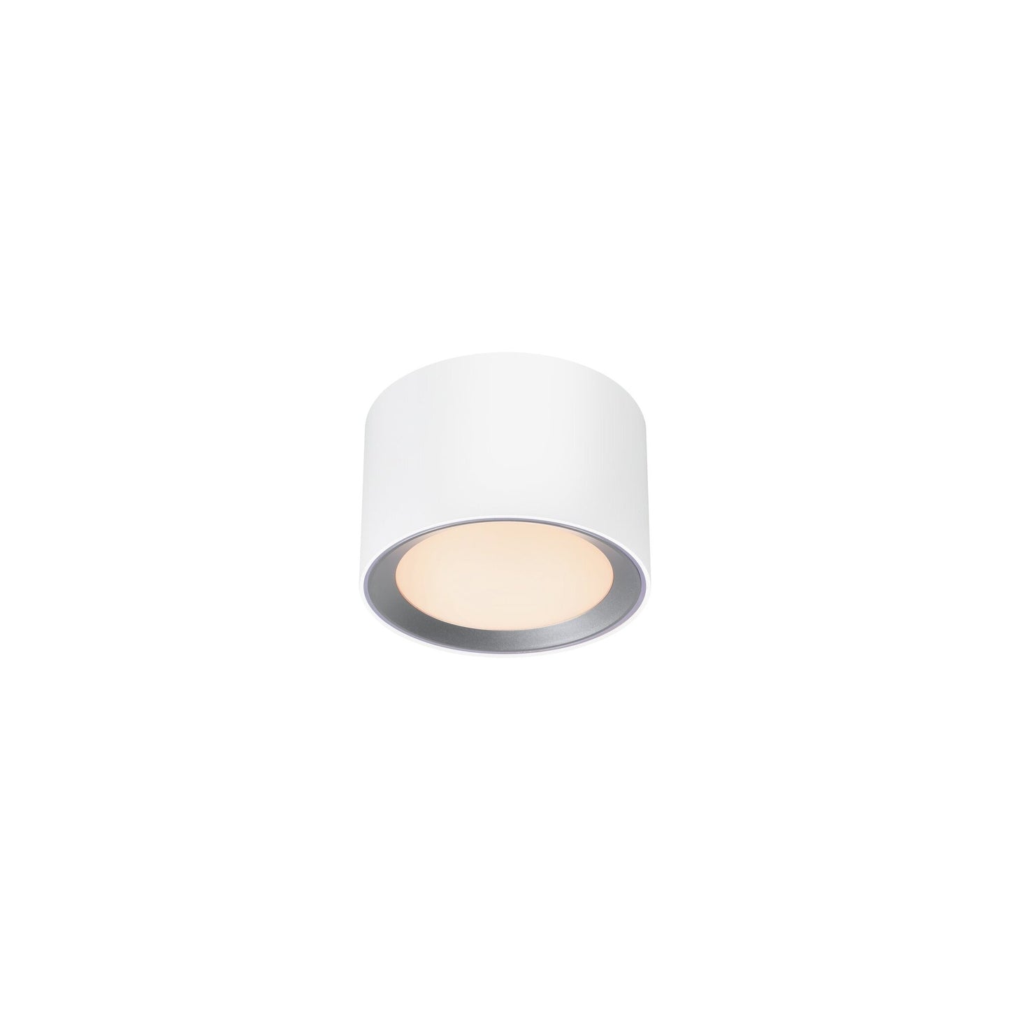 Landon Bathroom Surface Downlight