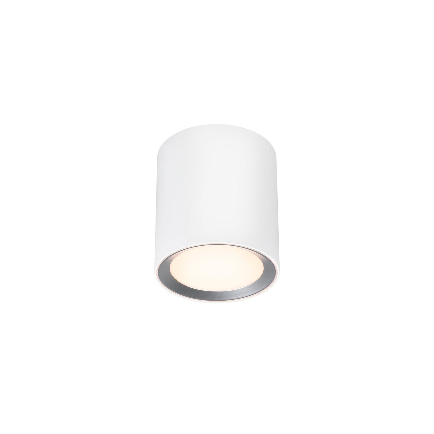 Landon Bathroom Surface Downlight