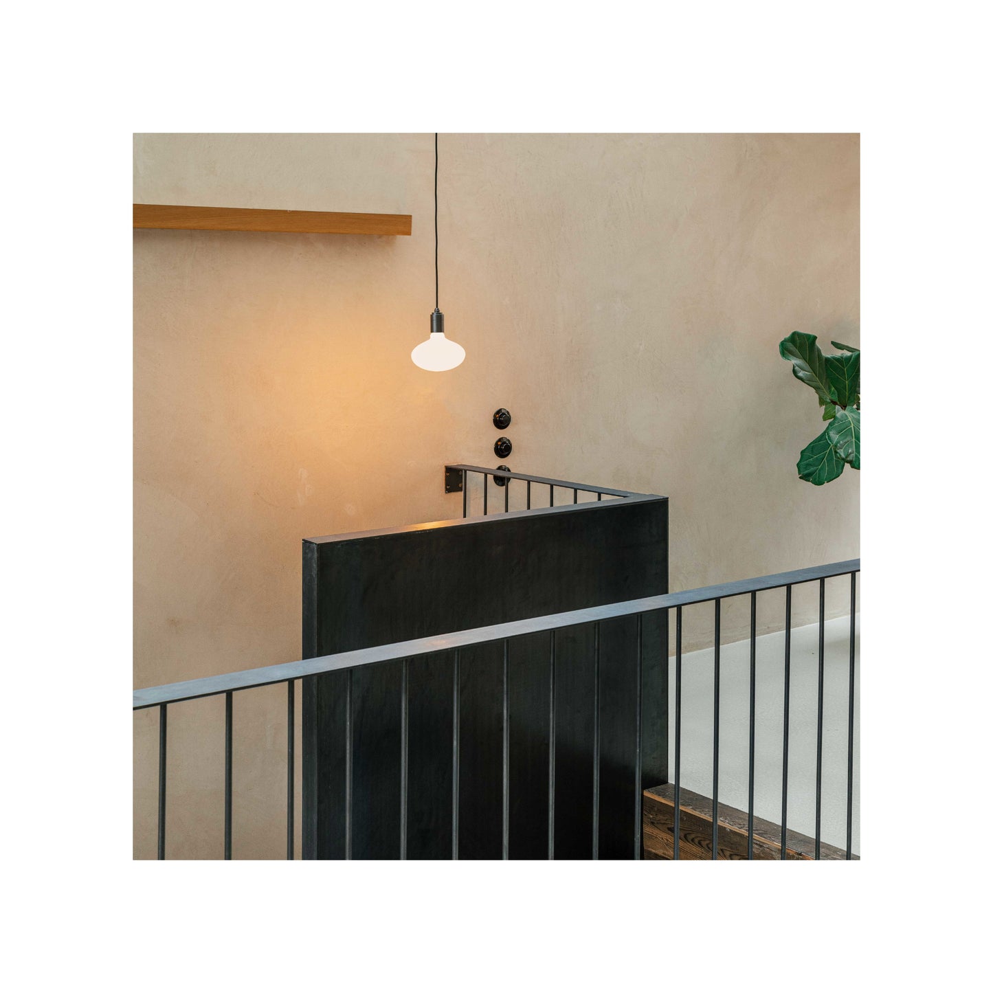 Oval 2700K LED Bulb
