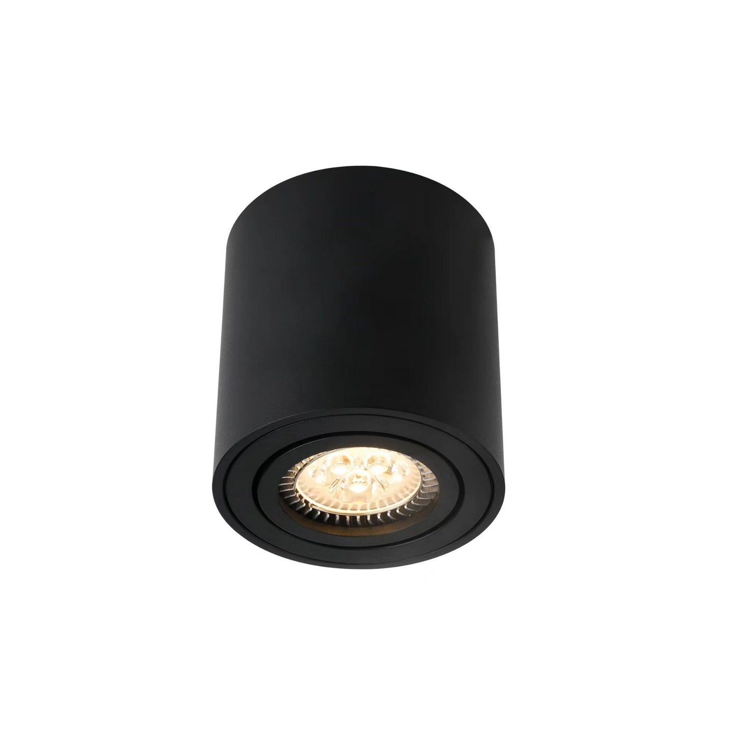 Sabonis Surface Downlight