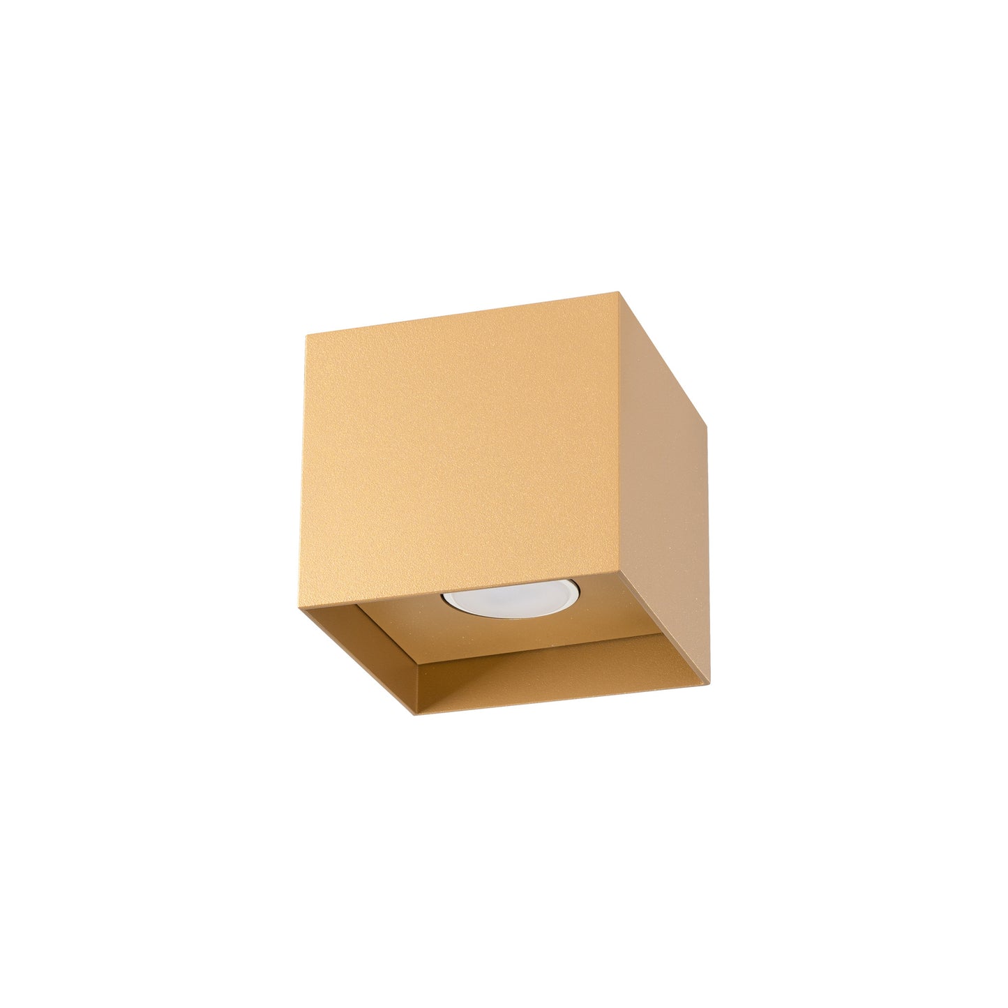 Hati Ceiling Light