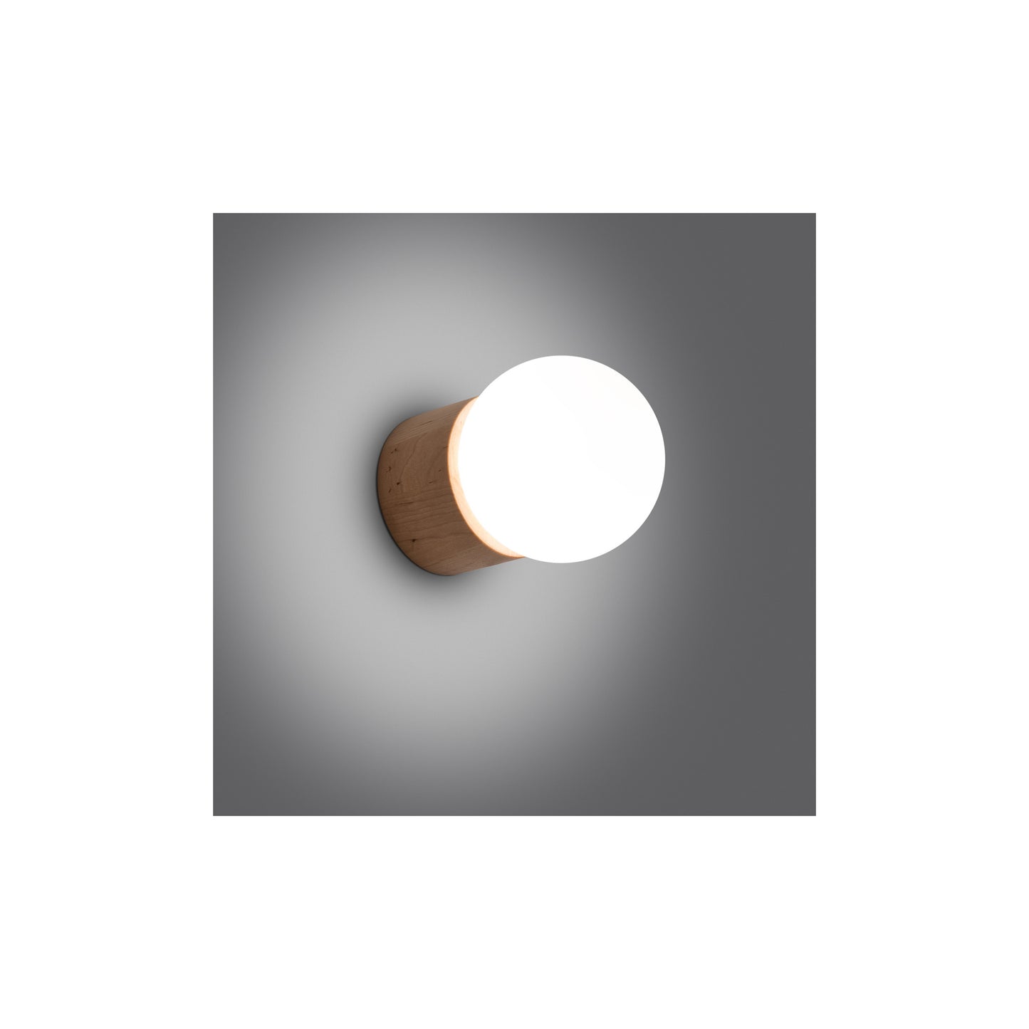 Boomo Wall Light in Natural Wood