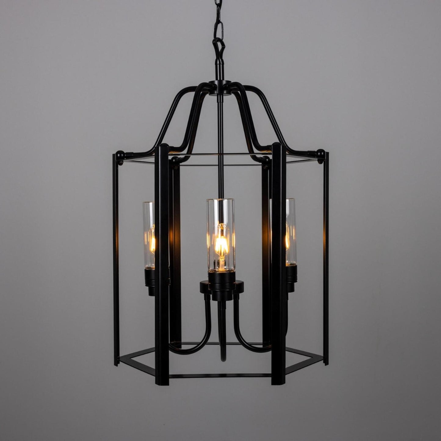 Portroe 4-Light Outdoor Hanging Lantern