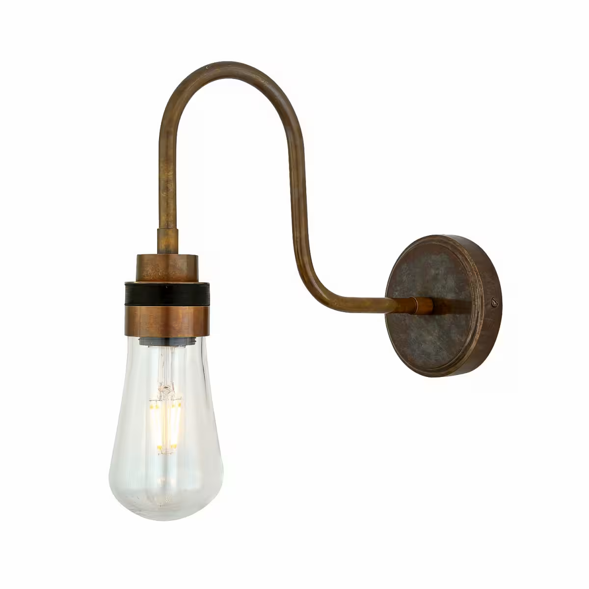 Bo Swan Neck Wall Light IP65