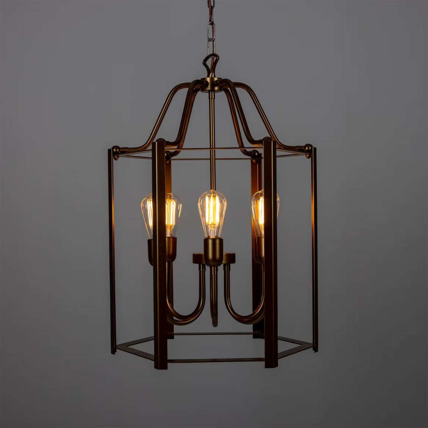 Portroe 4-Light Indoor Hanging Lantern