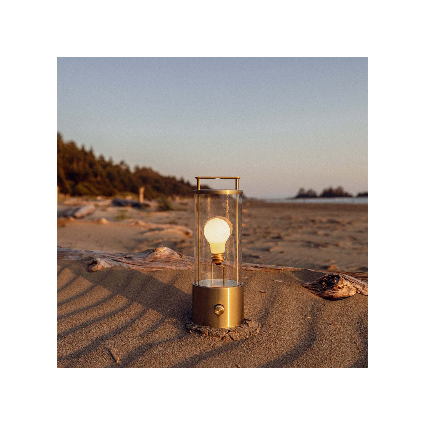The Muse Portable Lamp